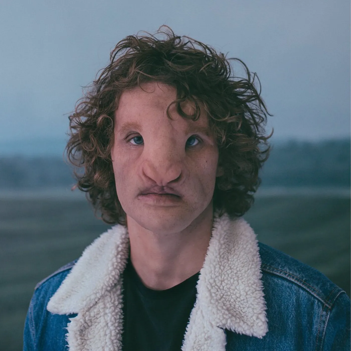 Philippe Brach / Le silence des troupeaux - CD