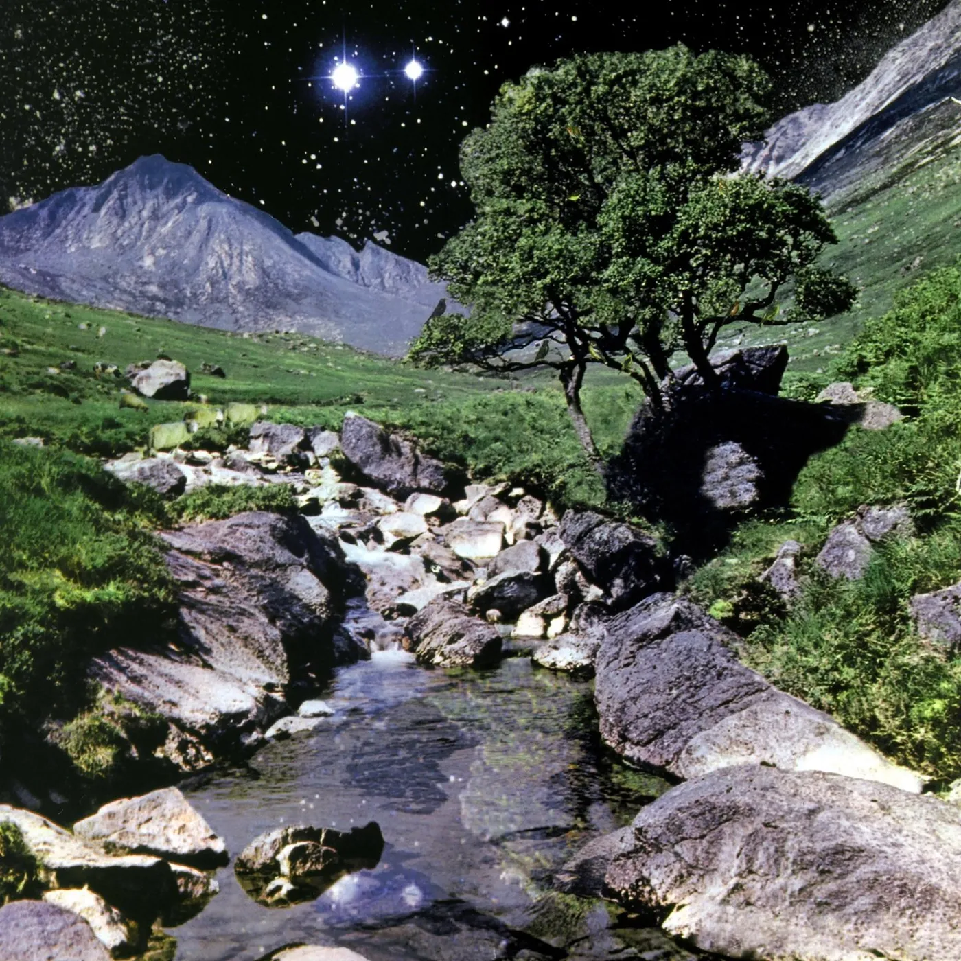 The Beta Band / The Beta Band - 2LP/CD