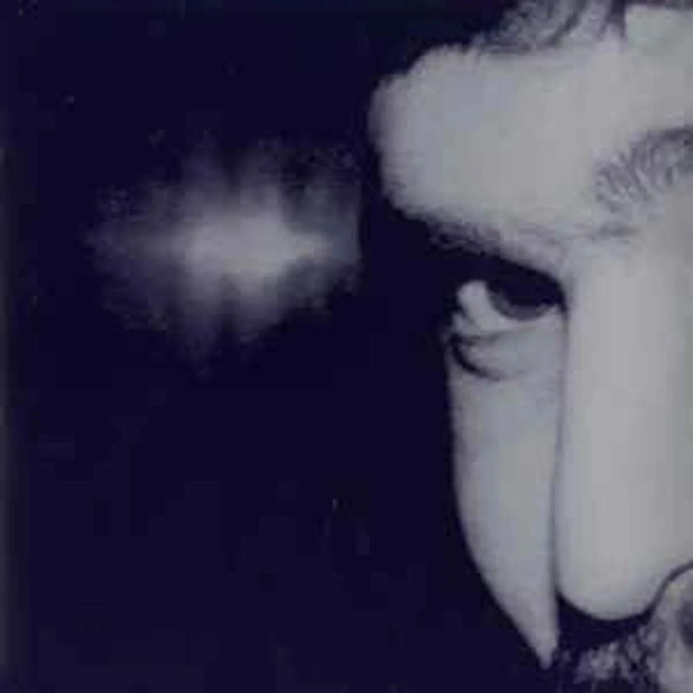 Phillip Lauer Lauer* ‎– Phillips - 2LP (Vinyl)