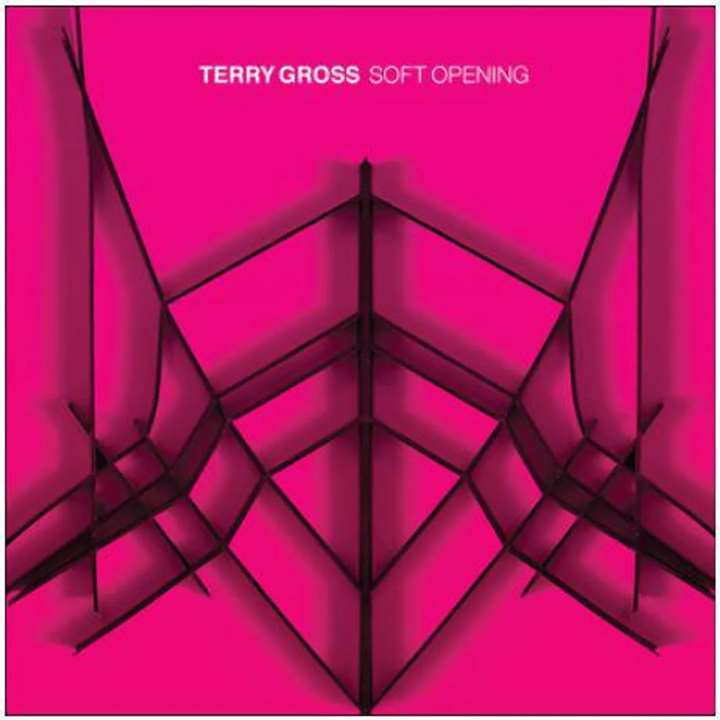 Terry Gross / Soft Opening - LP (Vinyl)