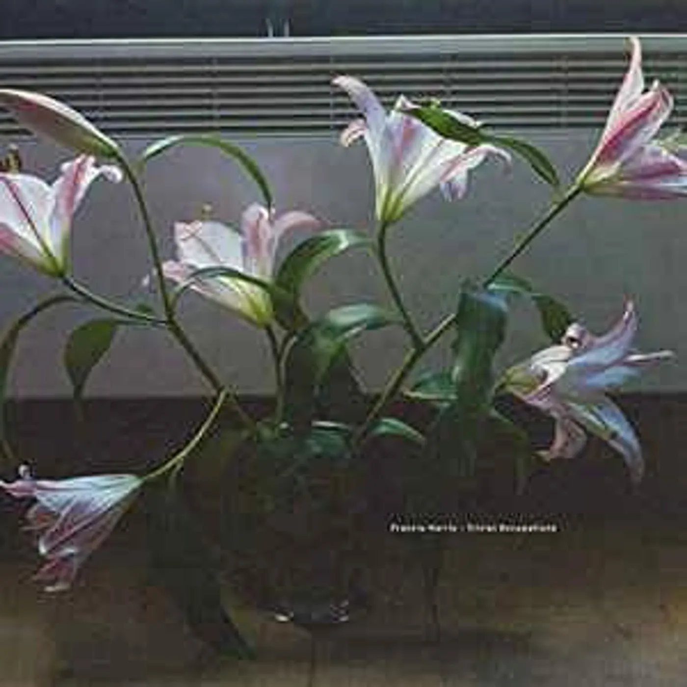 Francis Harris ‎/ Trivial Occupations - 2LP (Vinyl)