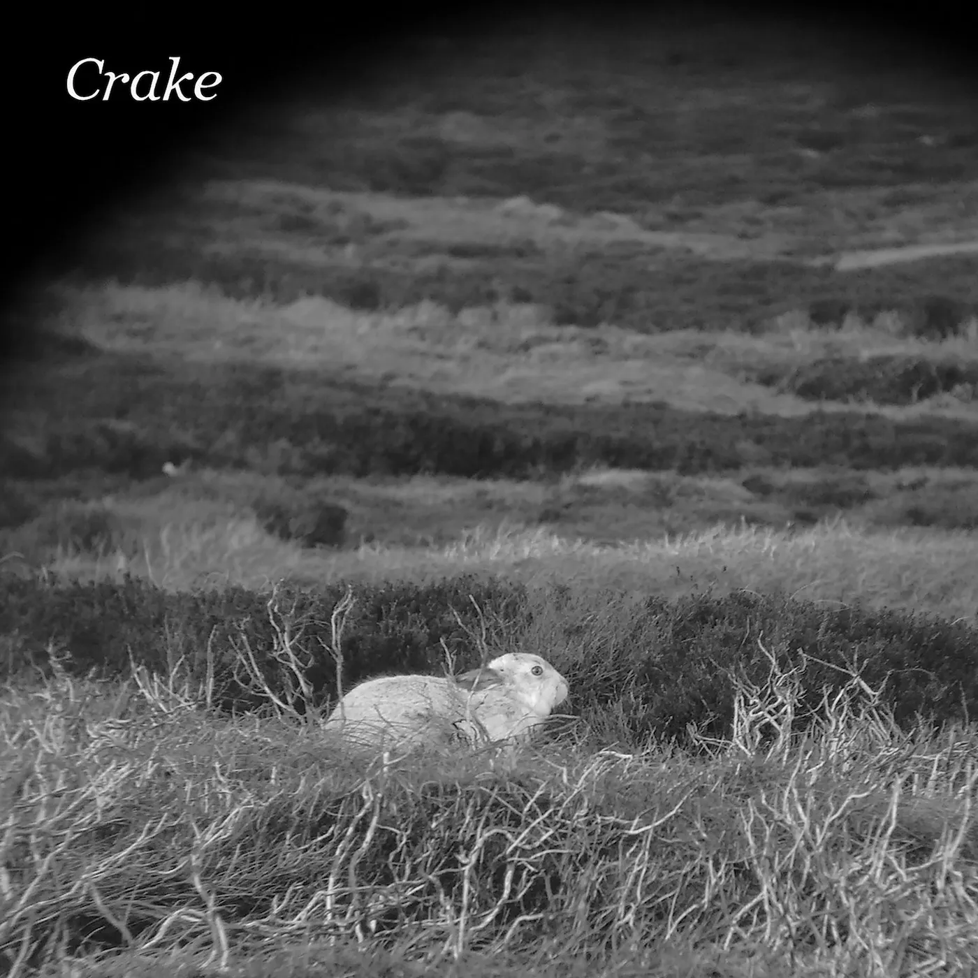 Crake / Enough Salt (For All Dogs) b/w Gef - 7" Vinyl