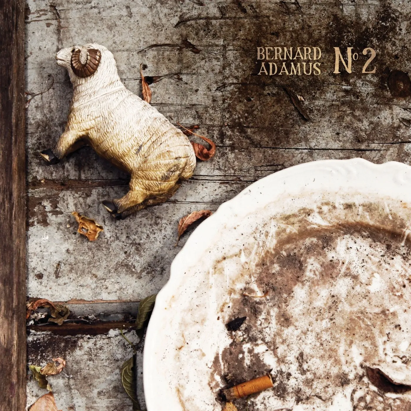 Bernard Adamus / No 2 - LP Vinyl