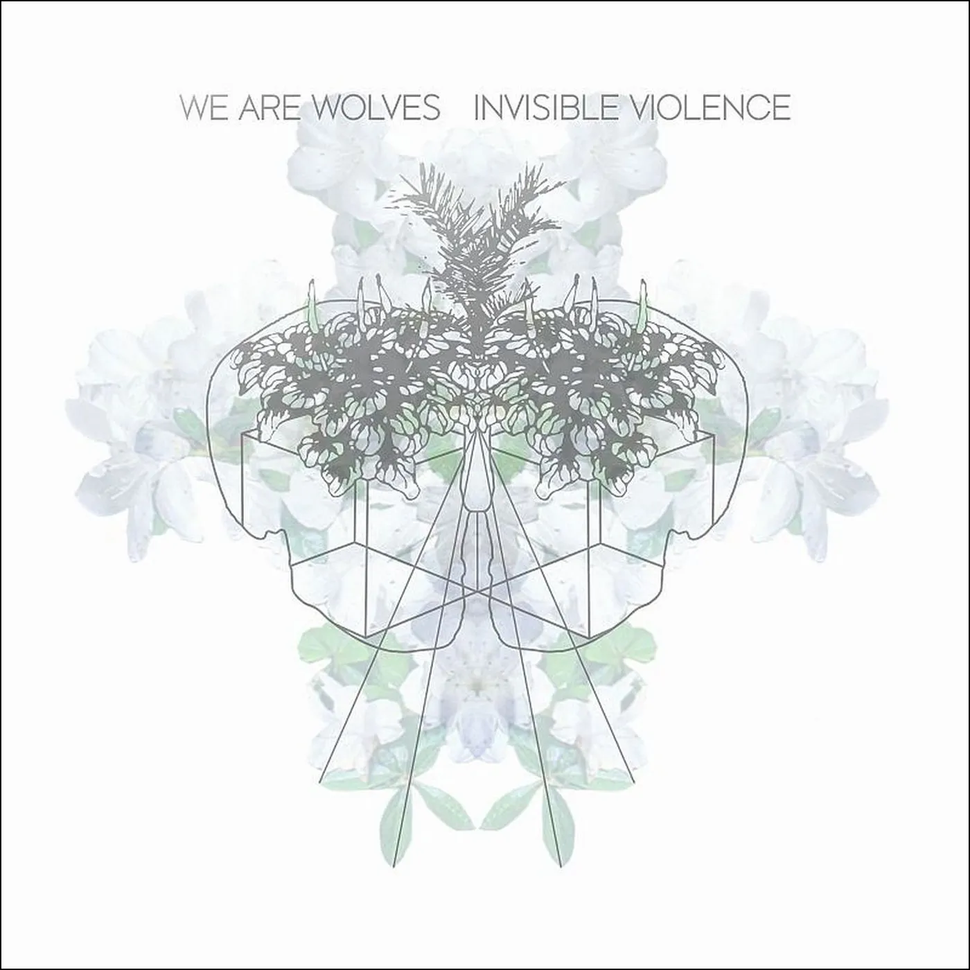 We Are Wolves / Invisible Violence - CD