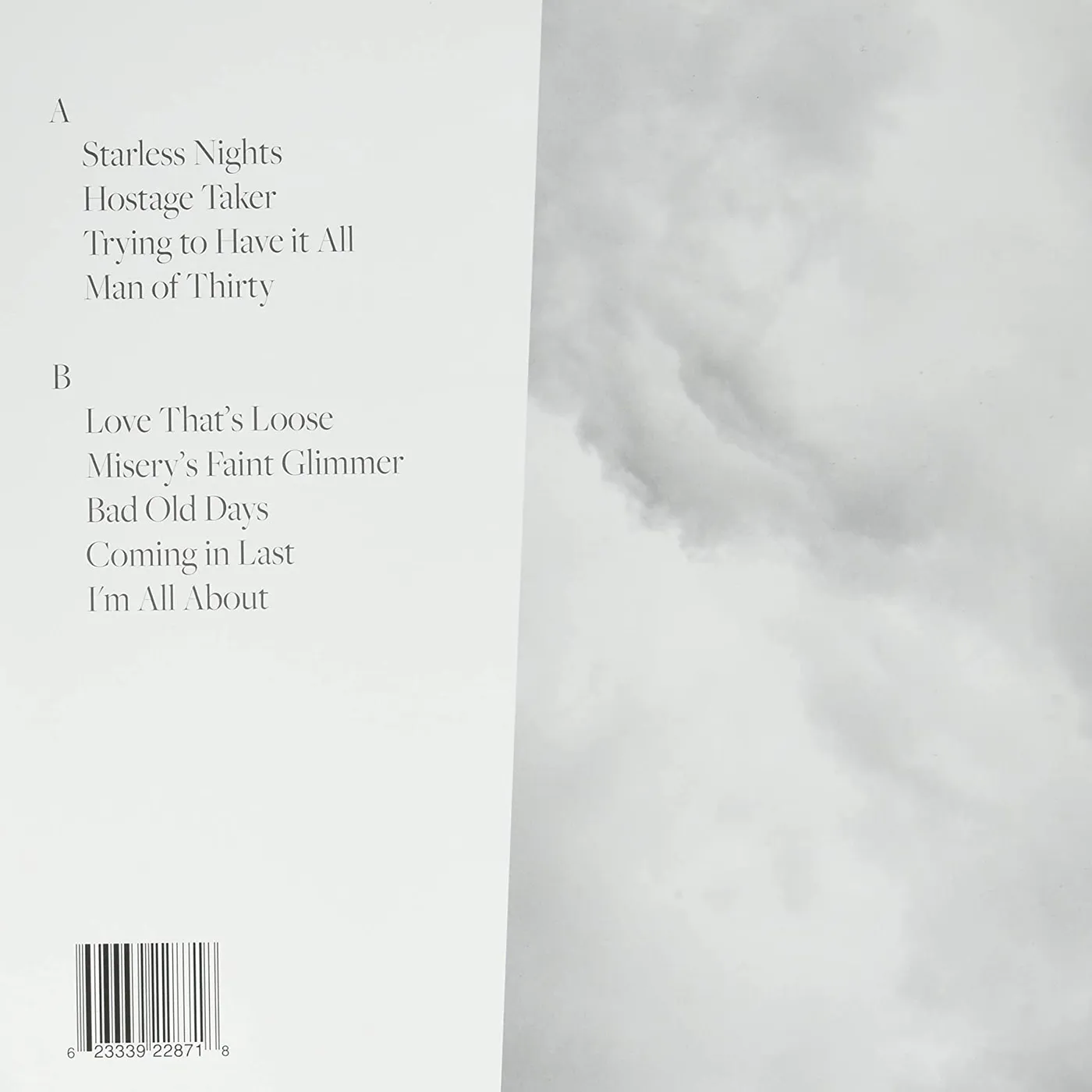 Misha Bower / Trying to Have It All - LP Vinyl