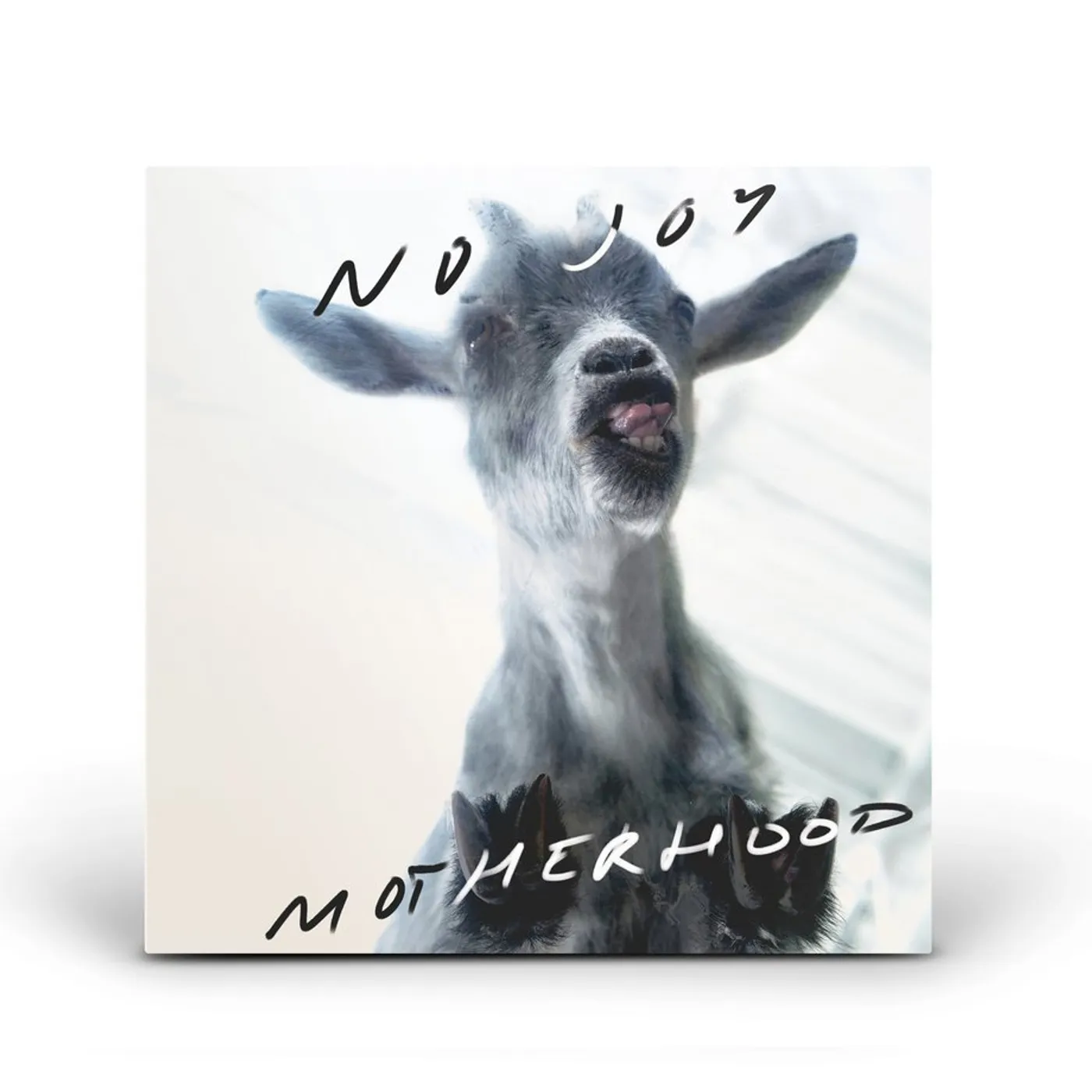 No Joy / Motherhood - CD