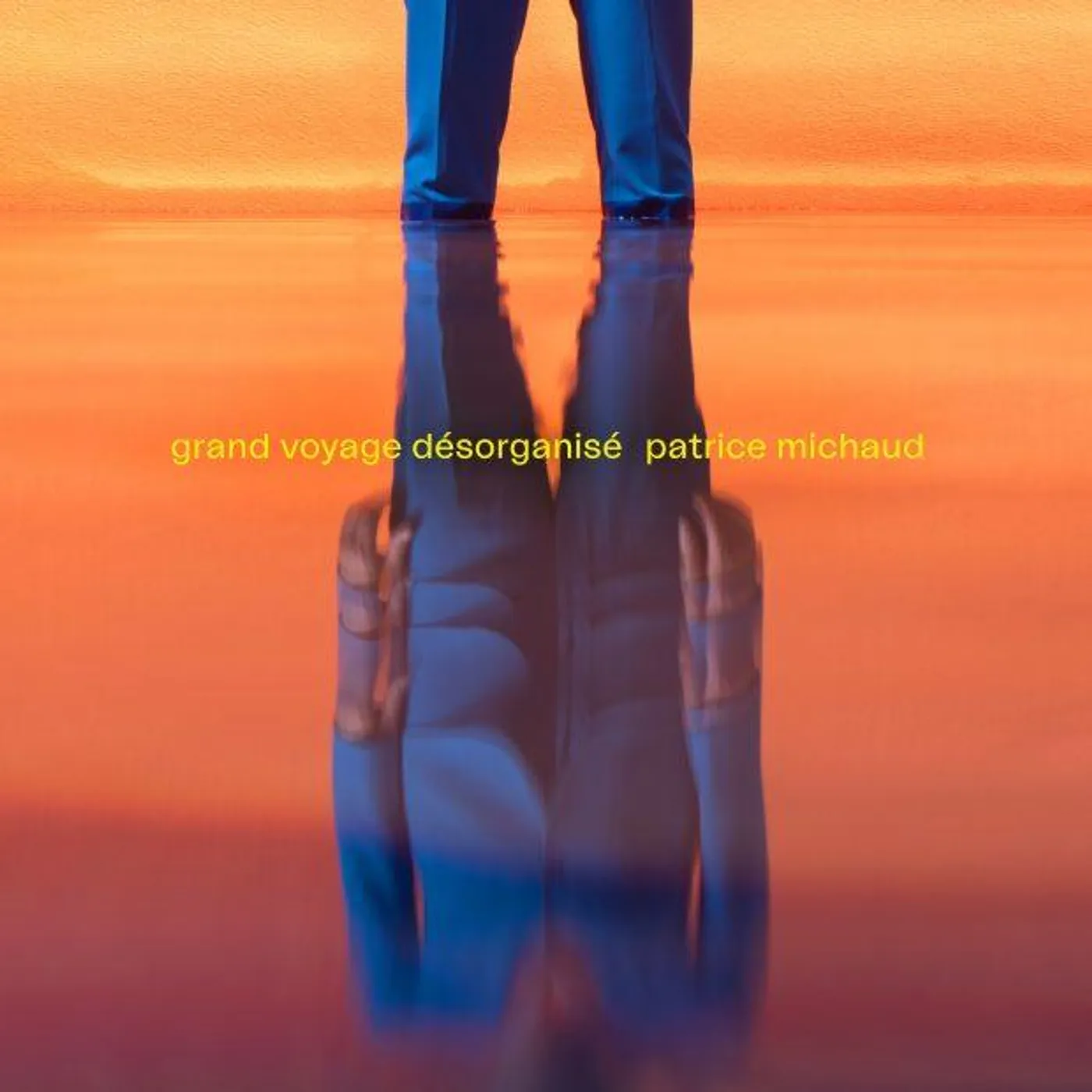 Patrice Michaud / Grand voyage désorganisé - CD