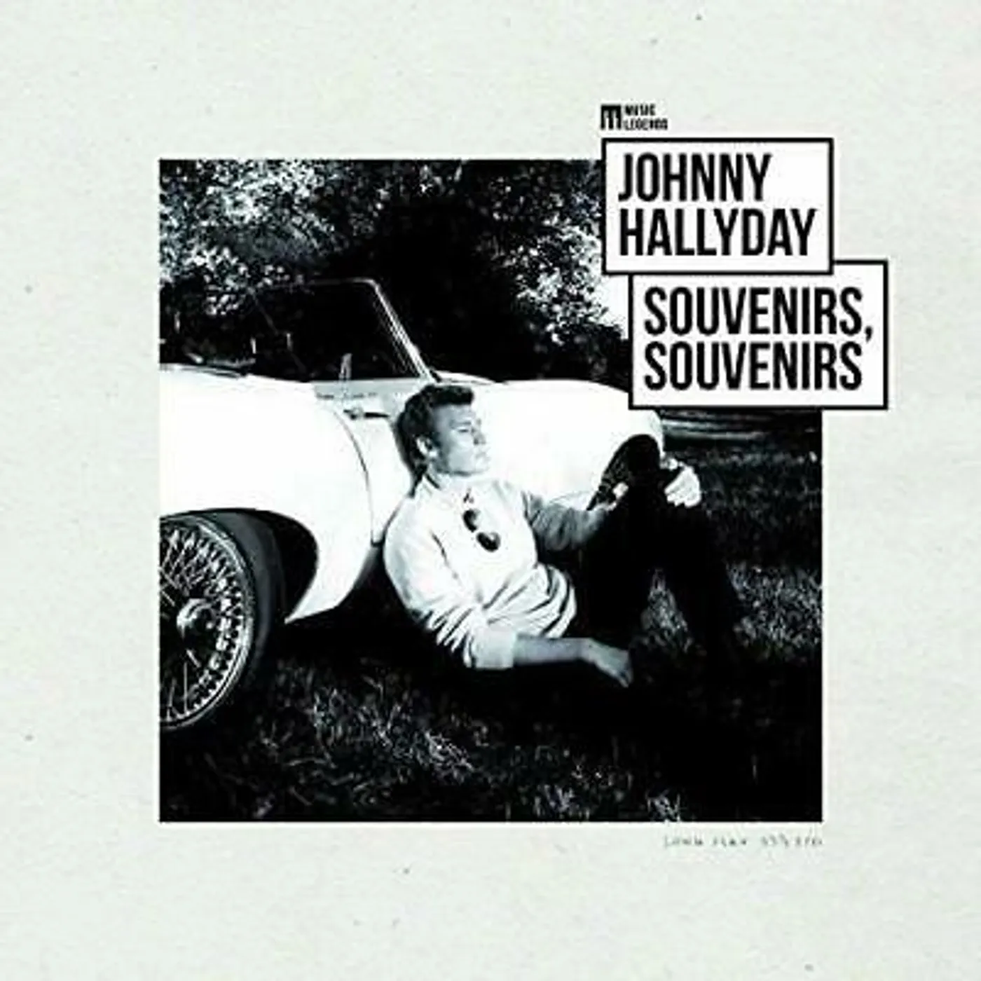 Johnny Hallyday / Souvenirs, Souvenirs - LP (Vinyl)