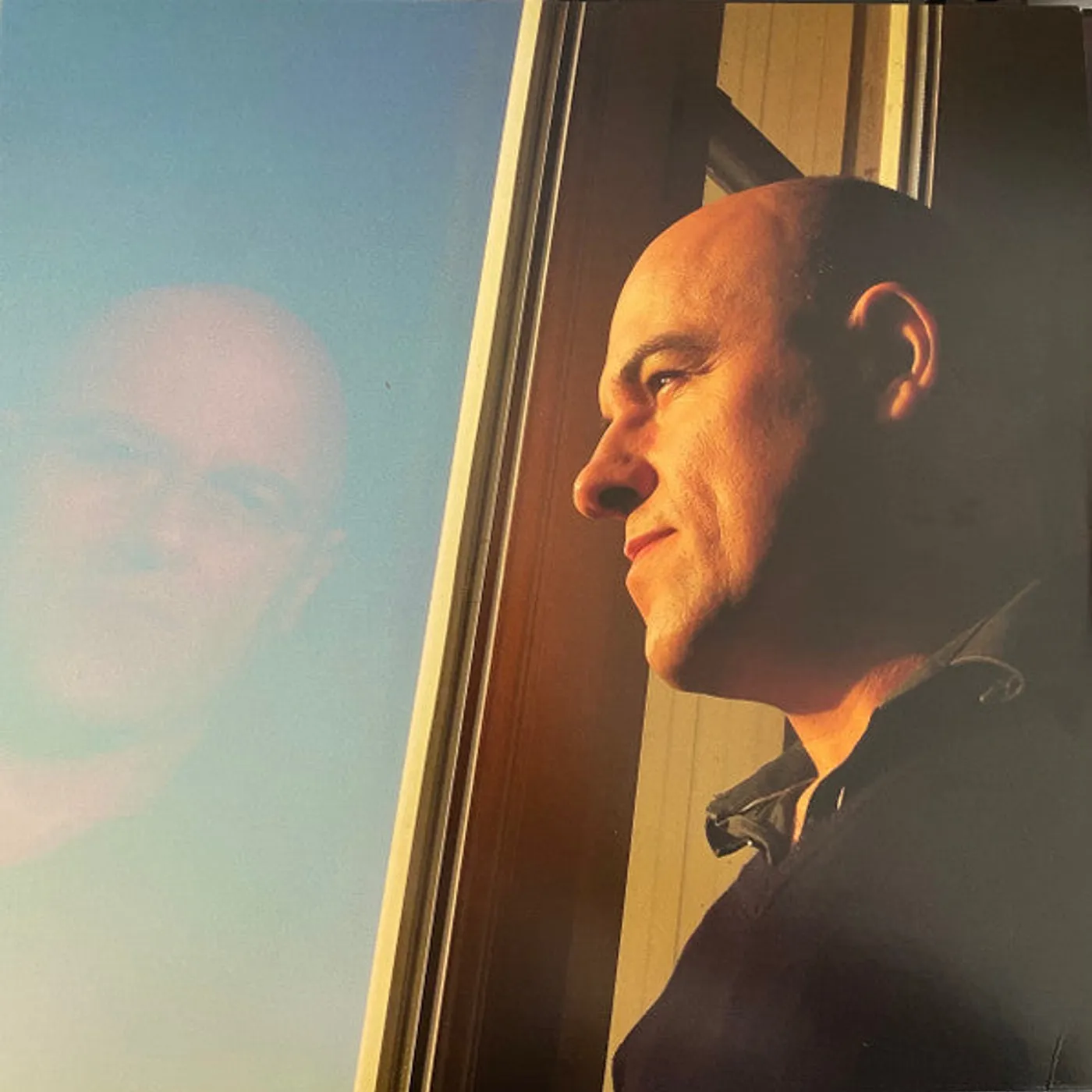 Dominique A / Vie Étrange - LP (Vinyl)