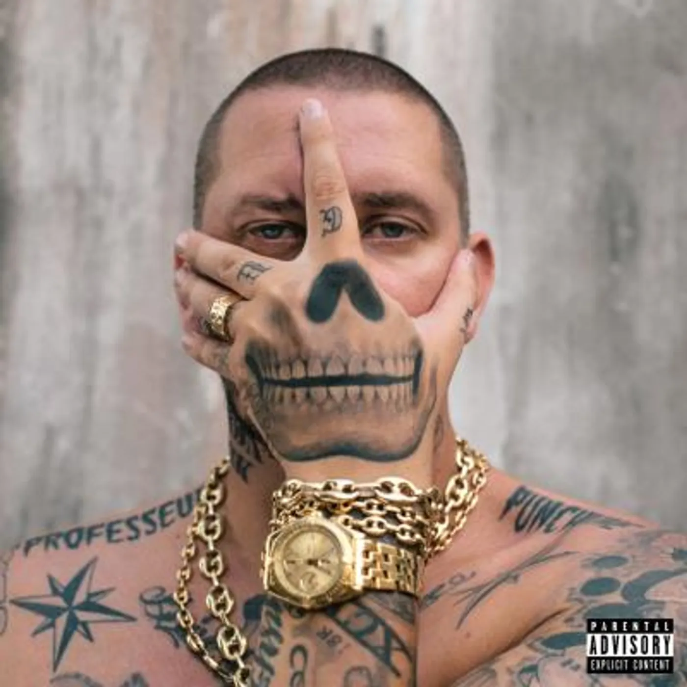Seth Gueko / Professeur Punchline - CD