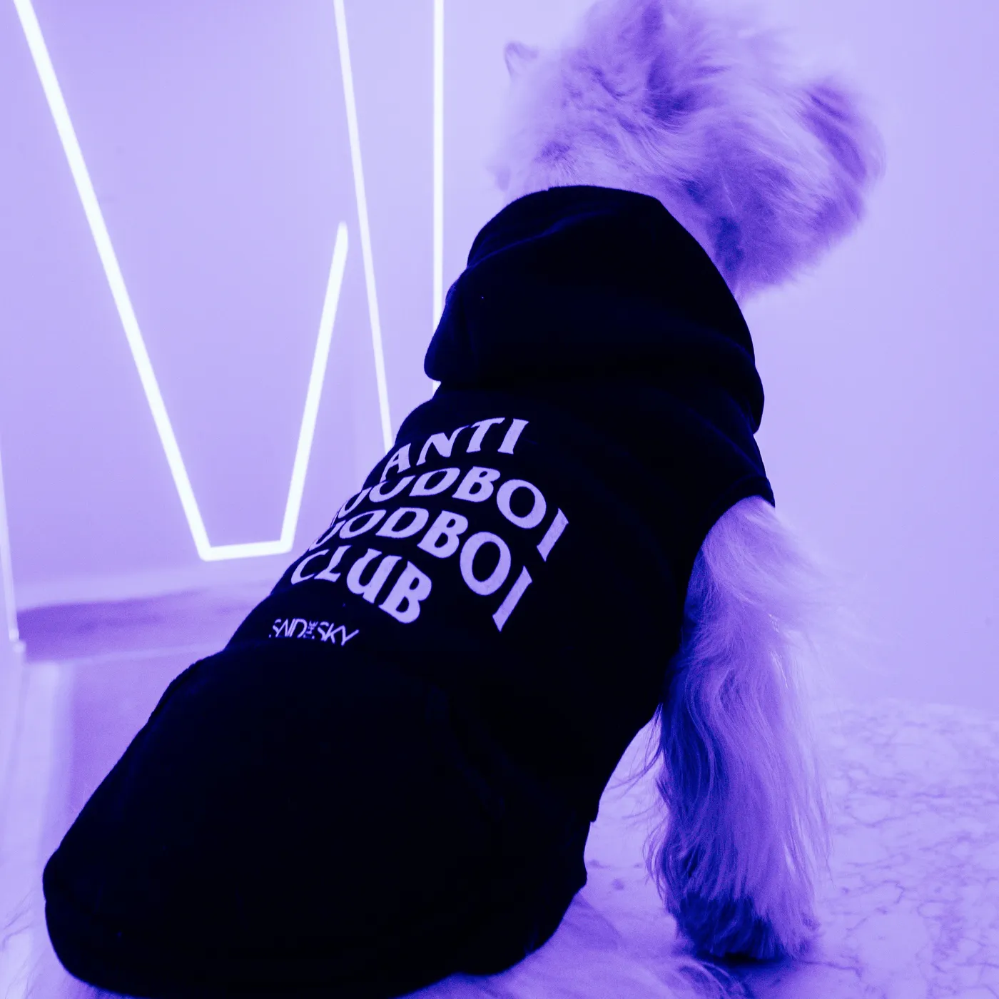 Said The Sky Goodboi Dog Hoodie