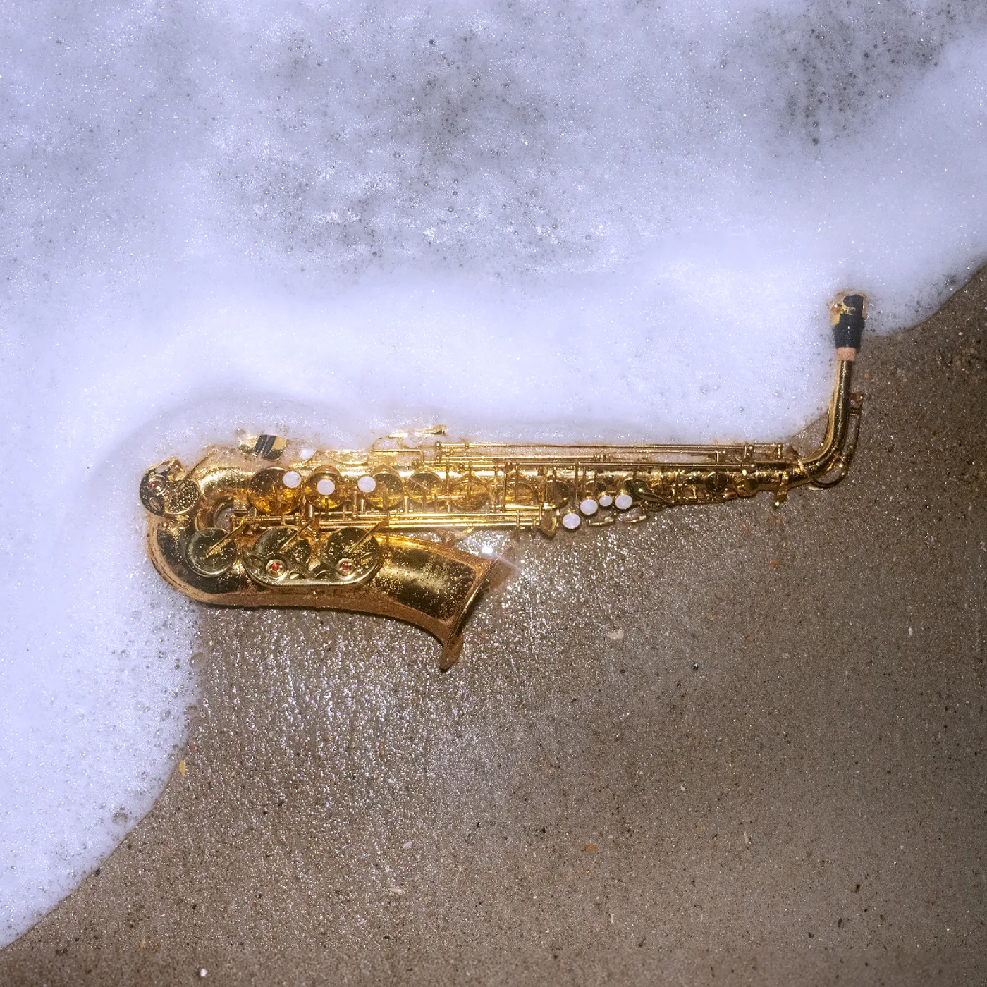 GRiZ shopify auction