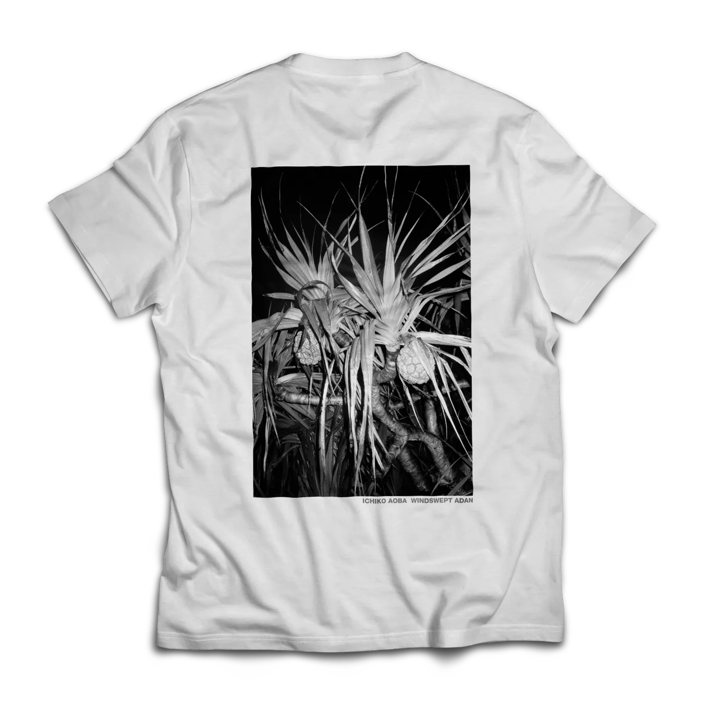 Ichiko Aoba Adan T-shirt | White