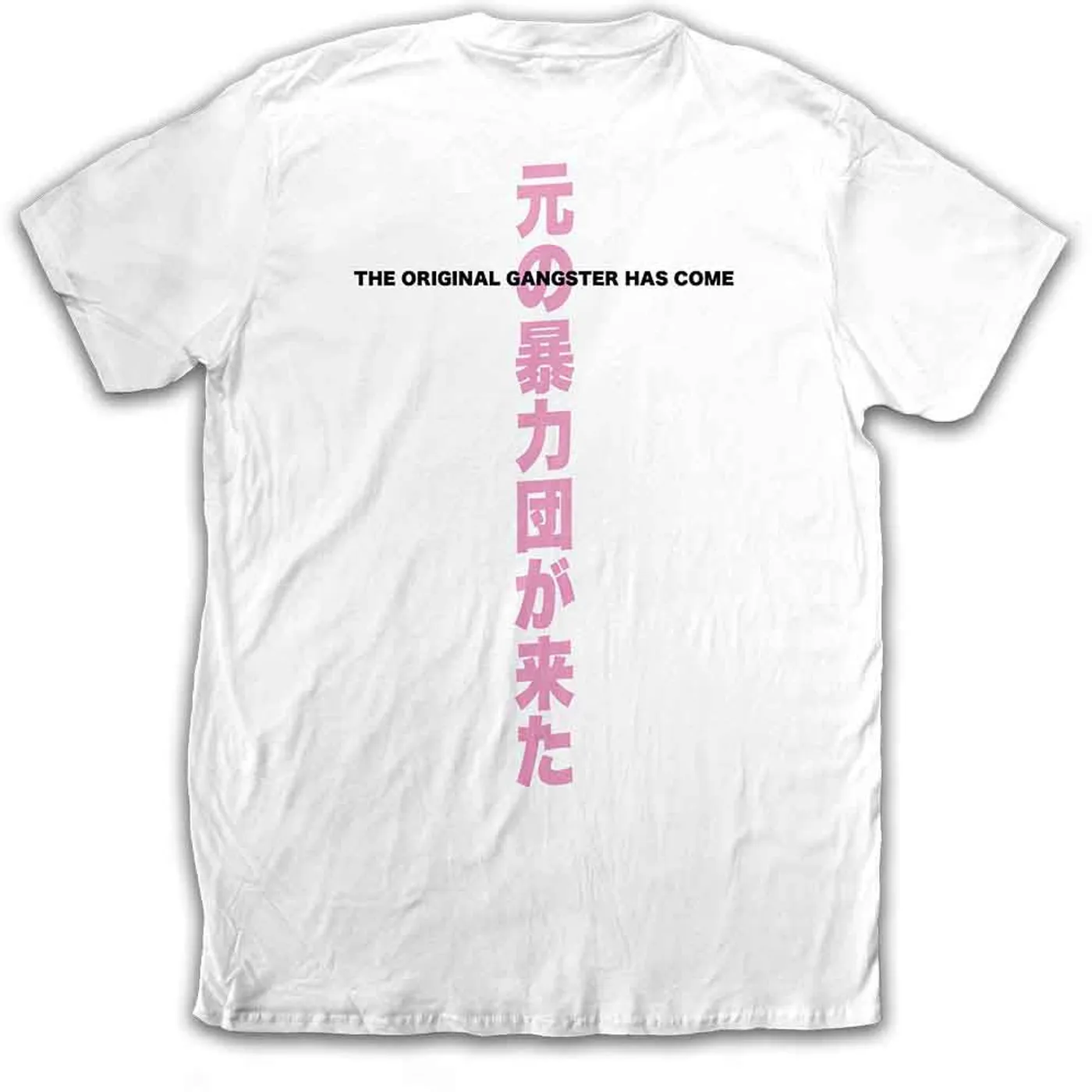 Ice Cube T Shirt - Beanie Kanji