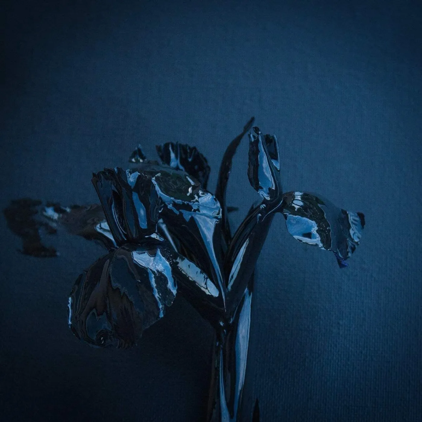 A Swarm Of The Sun LP - The Rifts (Vinyl)