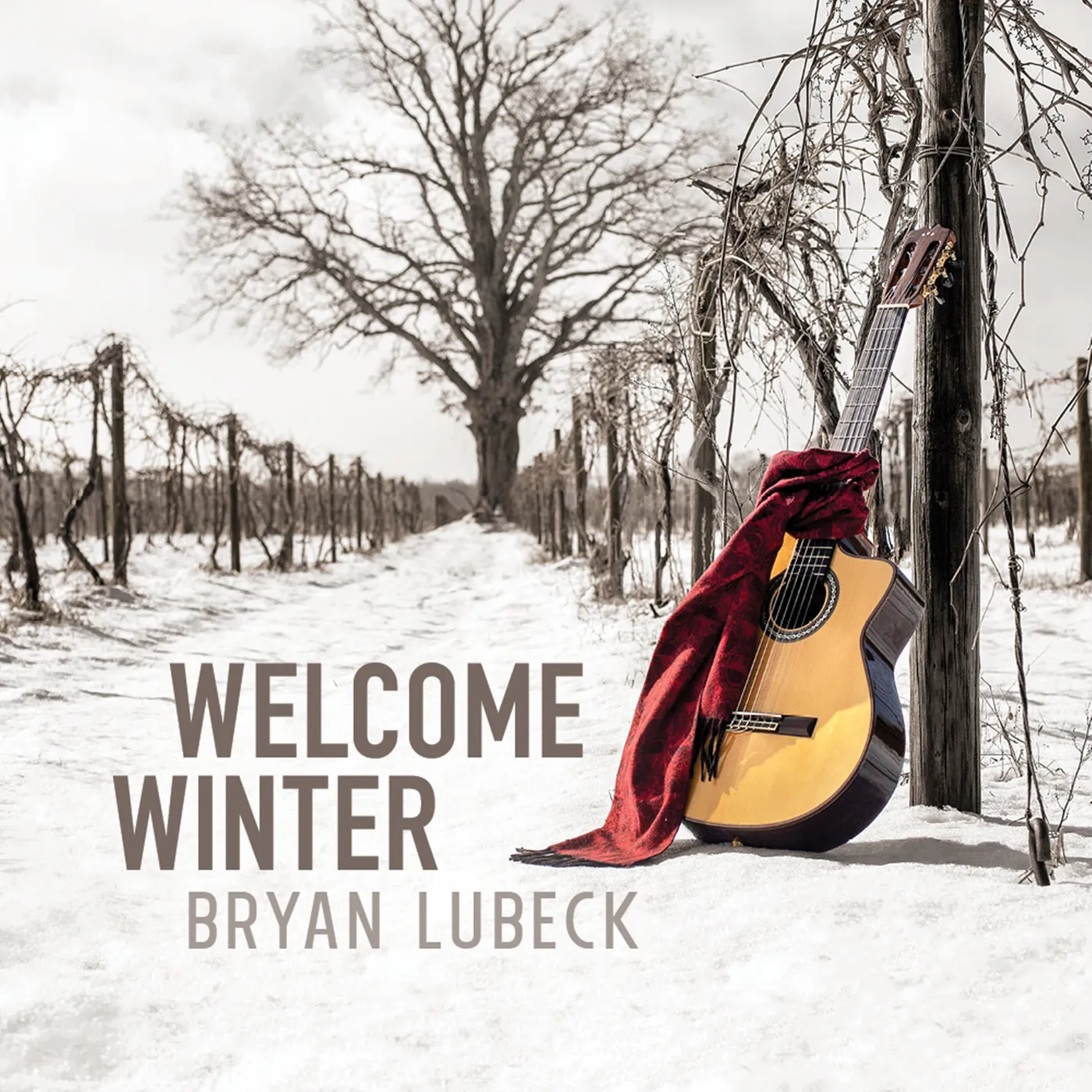 Bryan Lubeck LP - Welcome Winter (Vinyl)