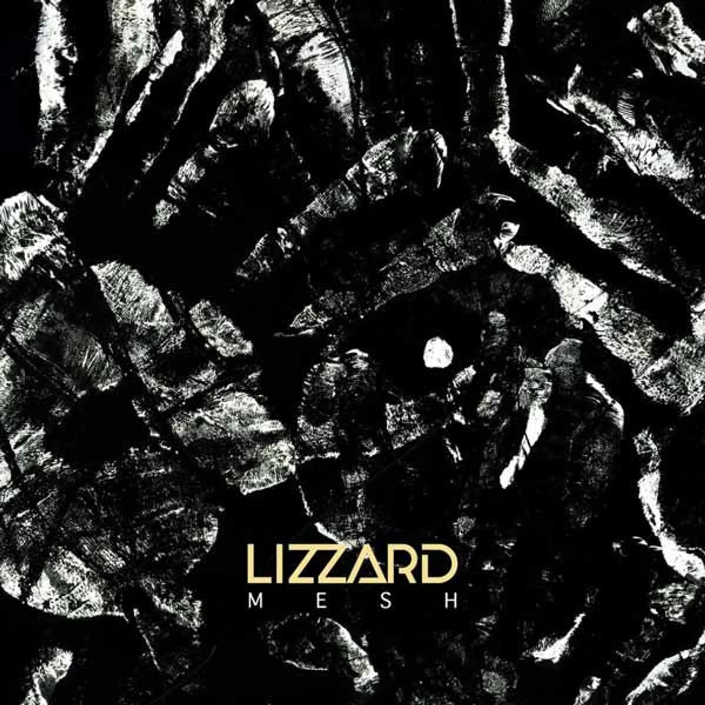 Lizzard LP - Mesh (Vinyl)