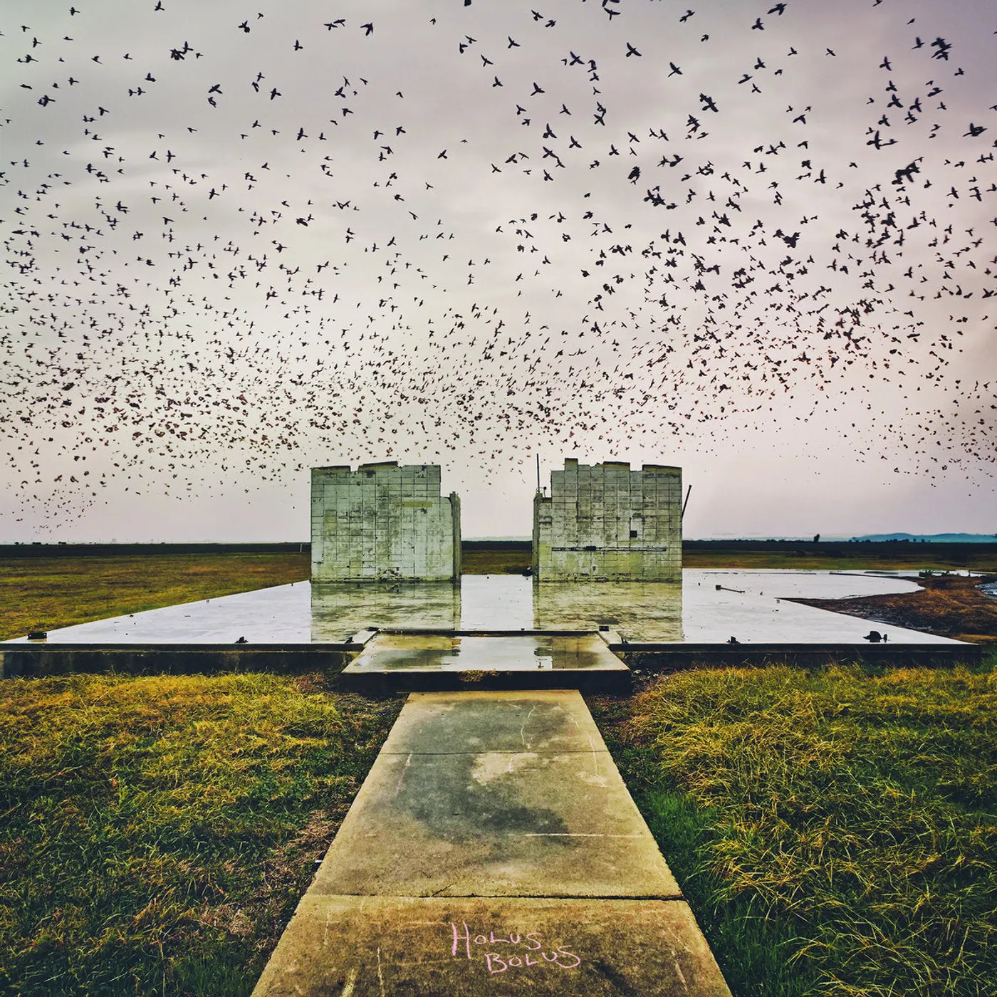 Lord Buffalo LP - Holus Bolus (Colored Vinyl)