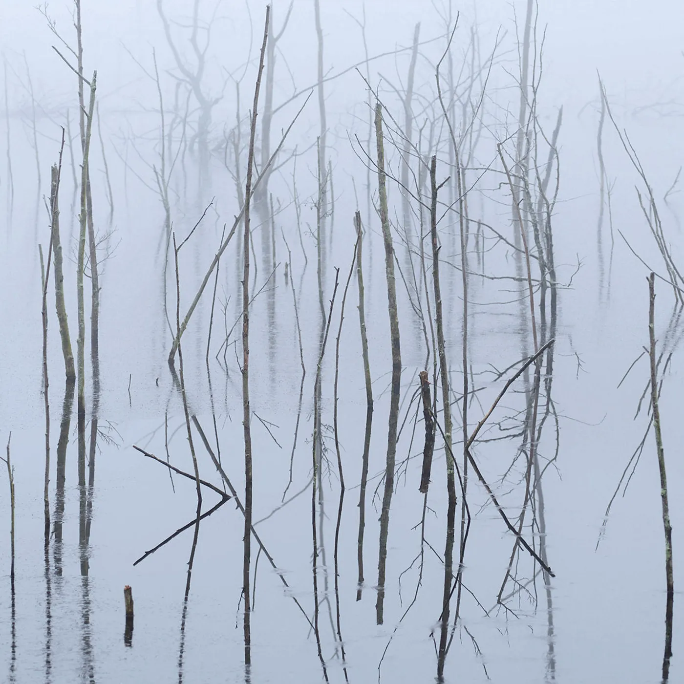 Olhava LP - Frozen Bloom (2Lp) (Vinyl)