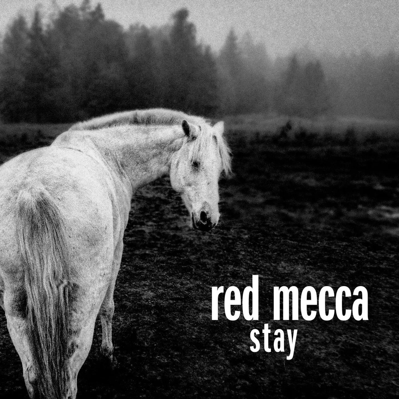 Red Mecca LP - Stay (Clear Vinyl 2Lp)