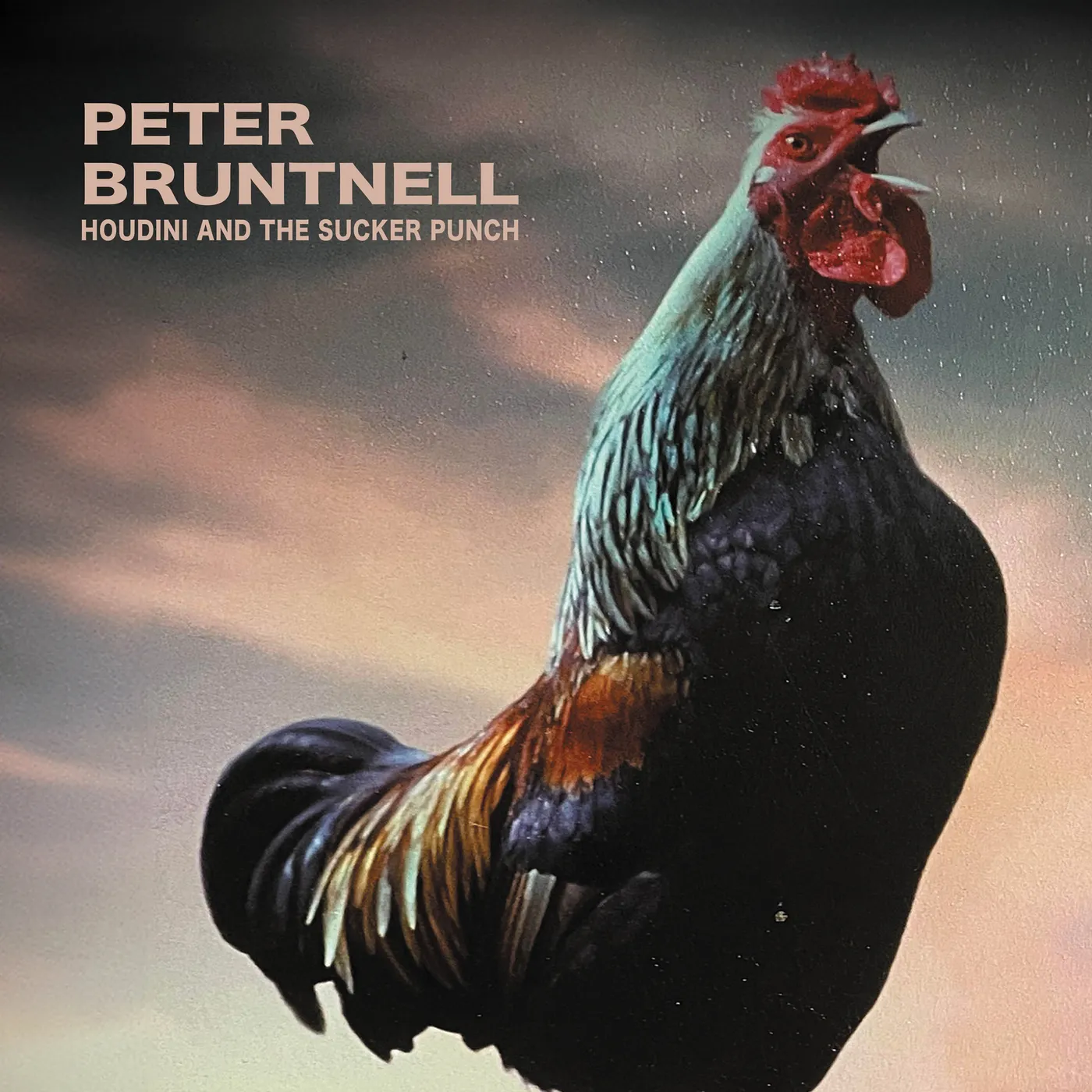 Peter Bruntnell LP - Houdini And The Sucker Punch [Vinyl]