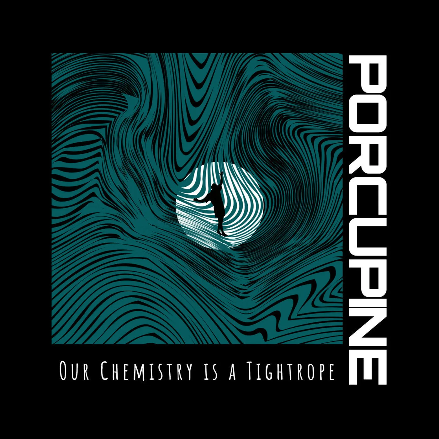 Porcupine LP - Our Chemistry Is A Tightrope (Vinyl)