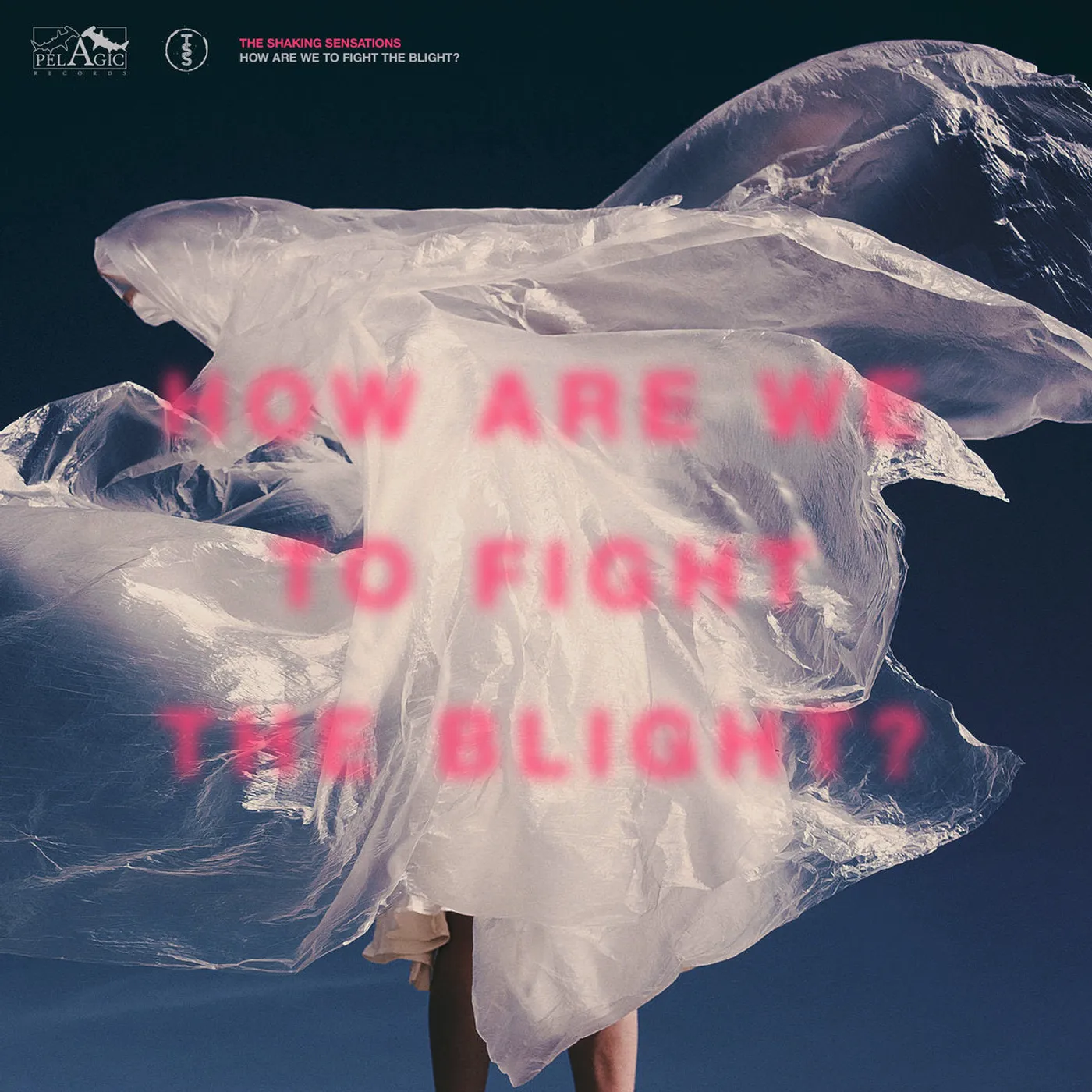 Shaking Sensations, The LP - How Are We To Fight The Blight? (Vinyl)