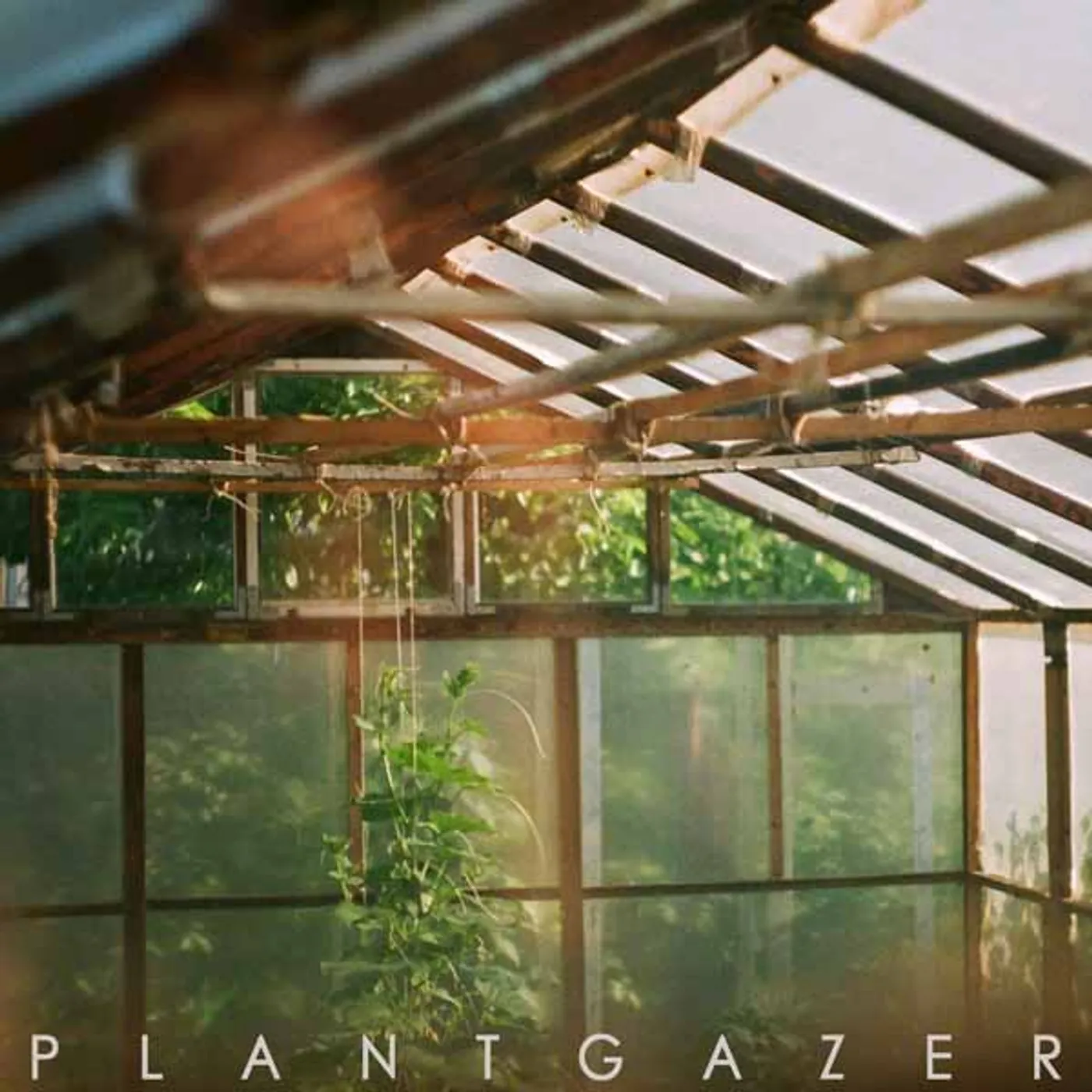 Show Me A Dinosaur LP - Plantgazer (Vinyl)