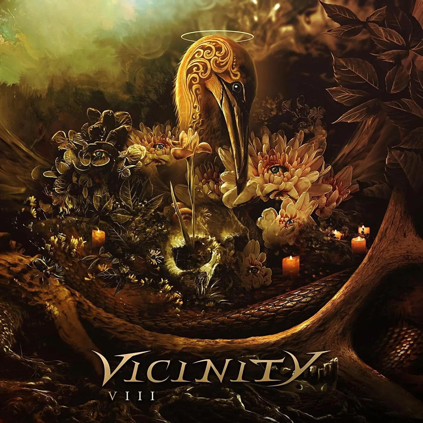 Vicinity LP - Viii (2Lp) (Vinyl)