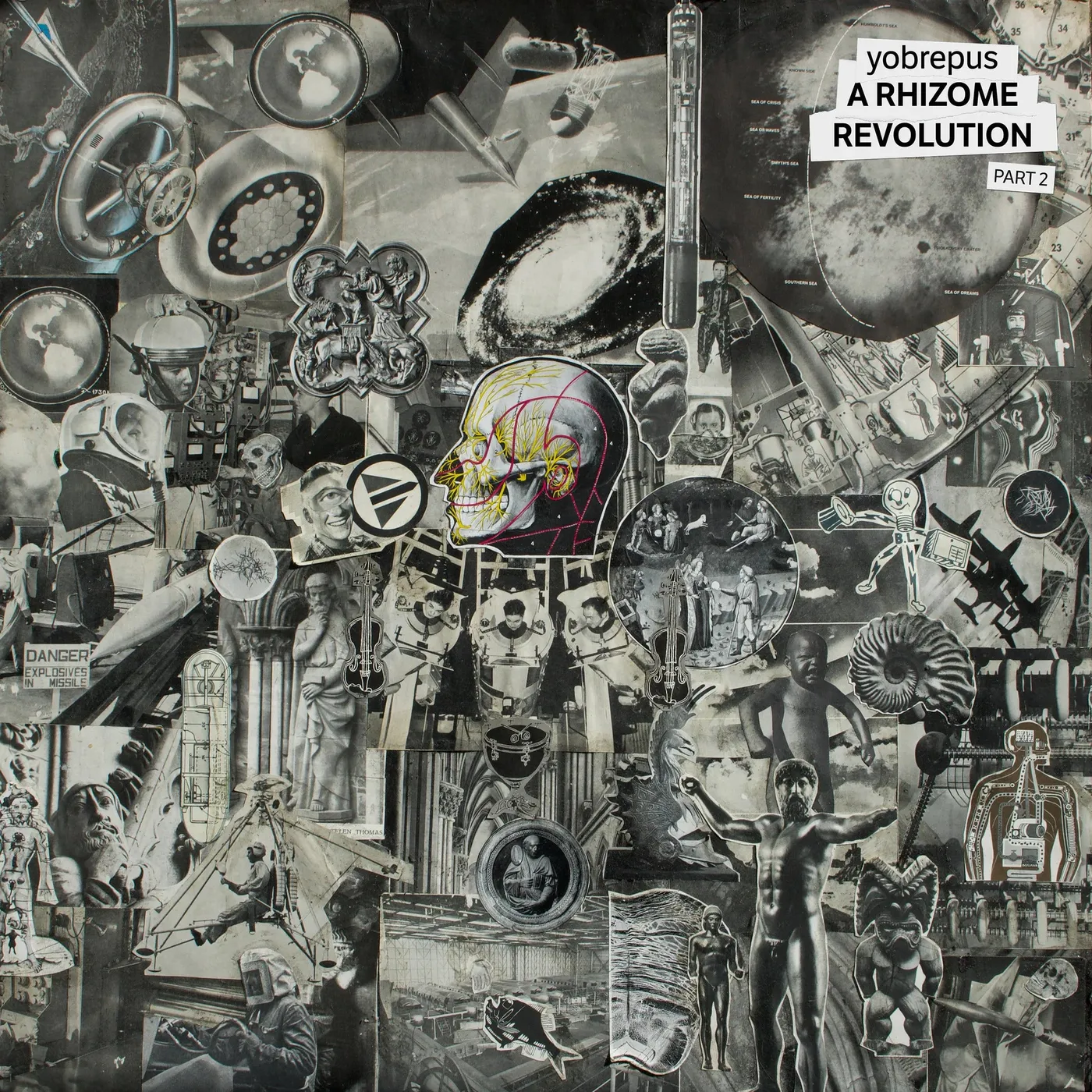 Yobrepus LP - A Rhizome Revolution Part 2 (Vinyl)