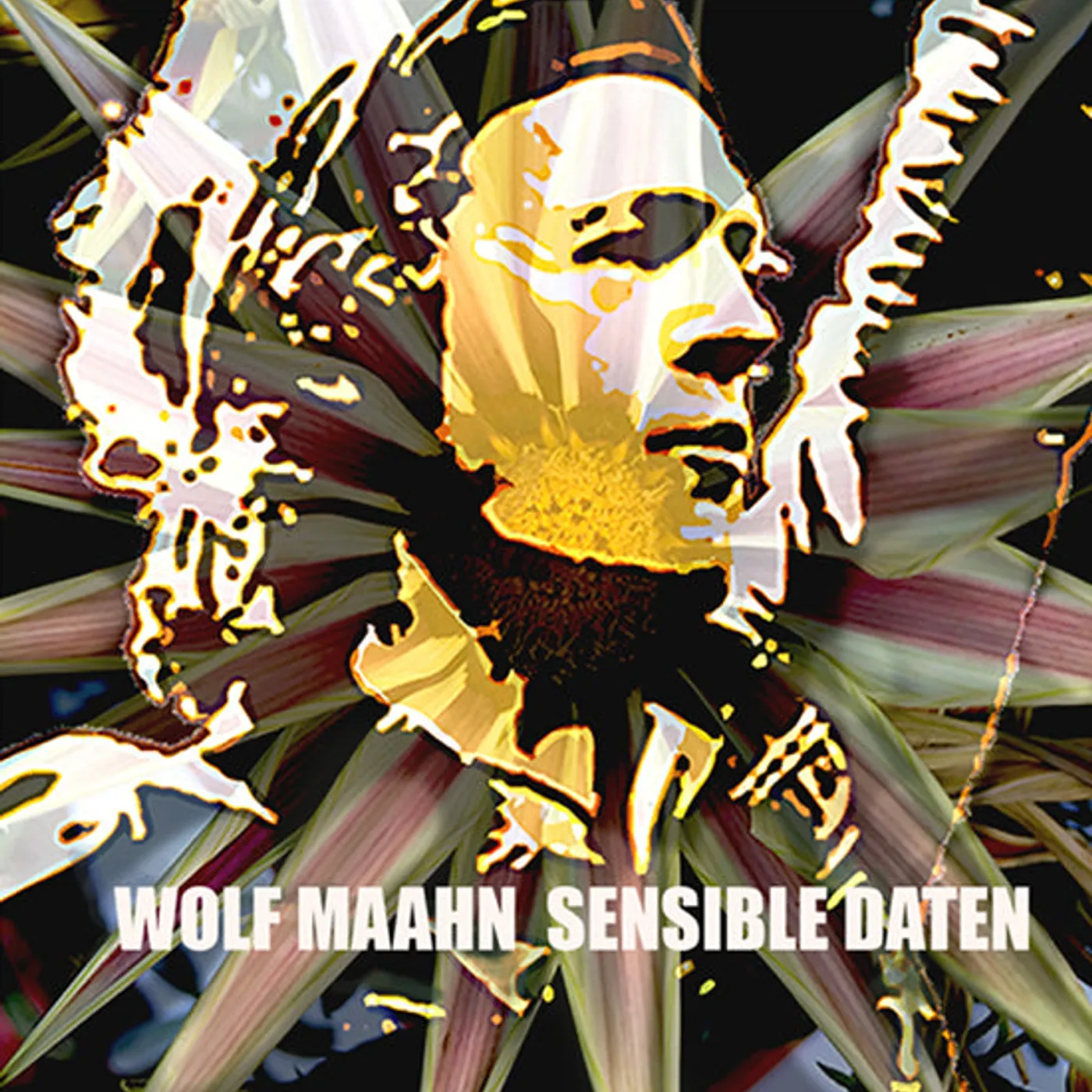 Wolf Maahn LP - Sensible Daten (Vinyl)