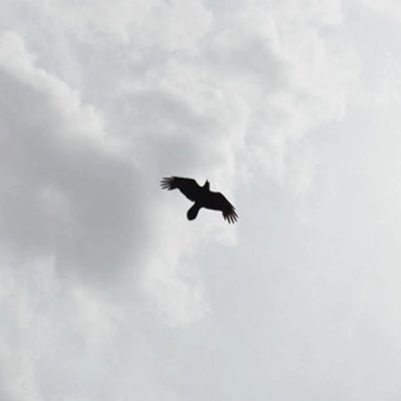 Moon Bros. LP - These Stars: (Vinyl)