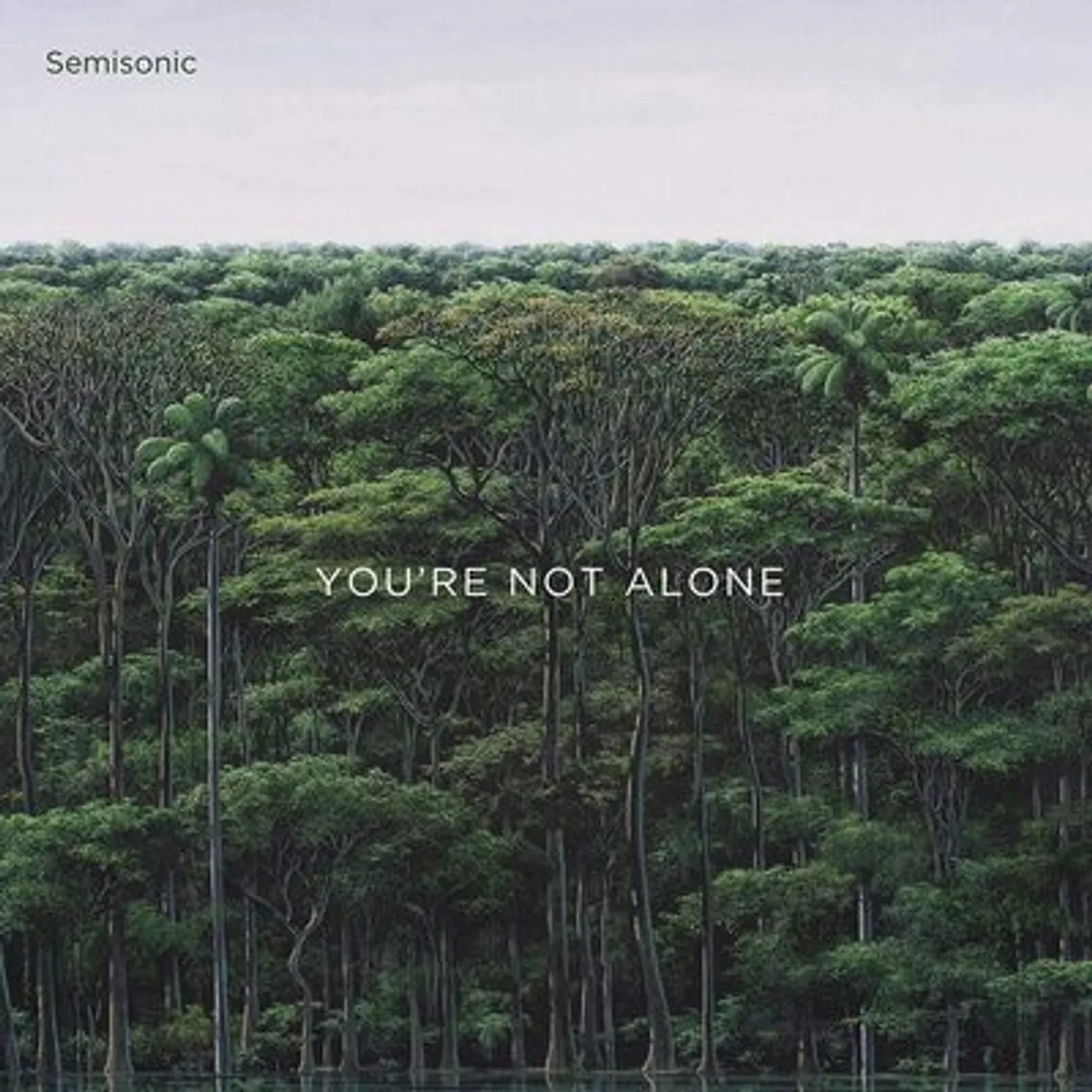 Semisonic LP - You're Not Alone (Vinyl)