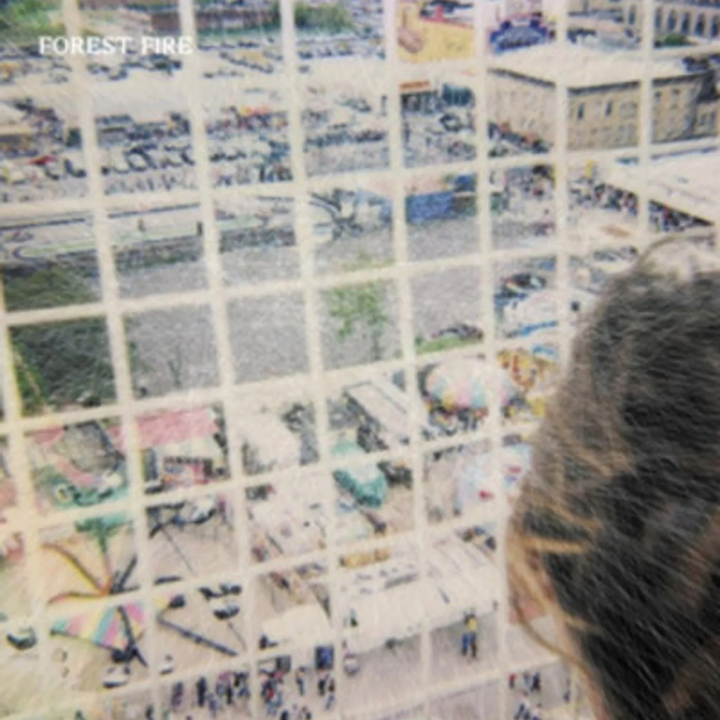 Forest Fire LP - Staring at the X (Vinyl)