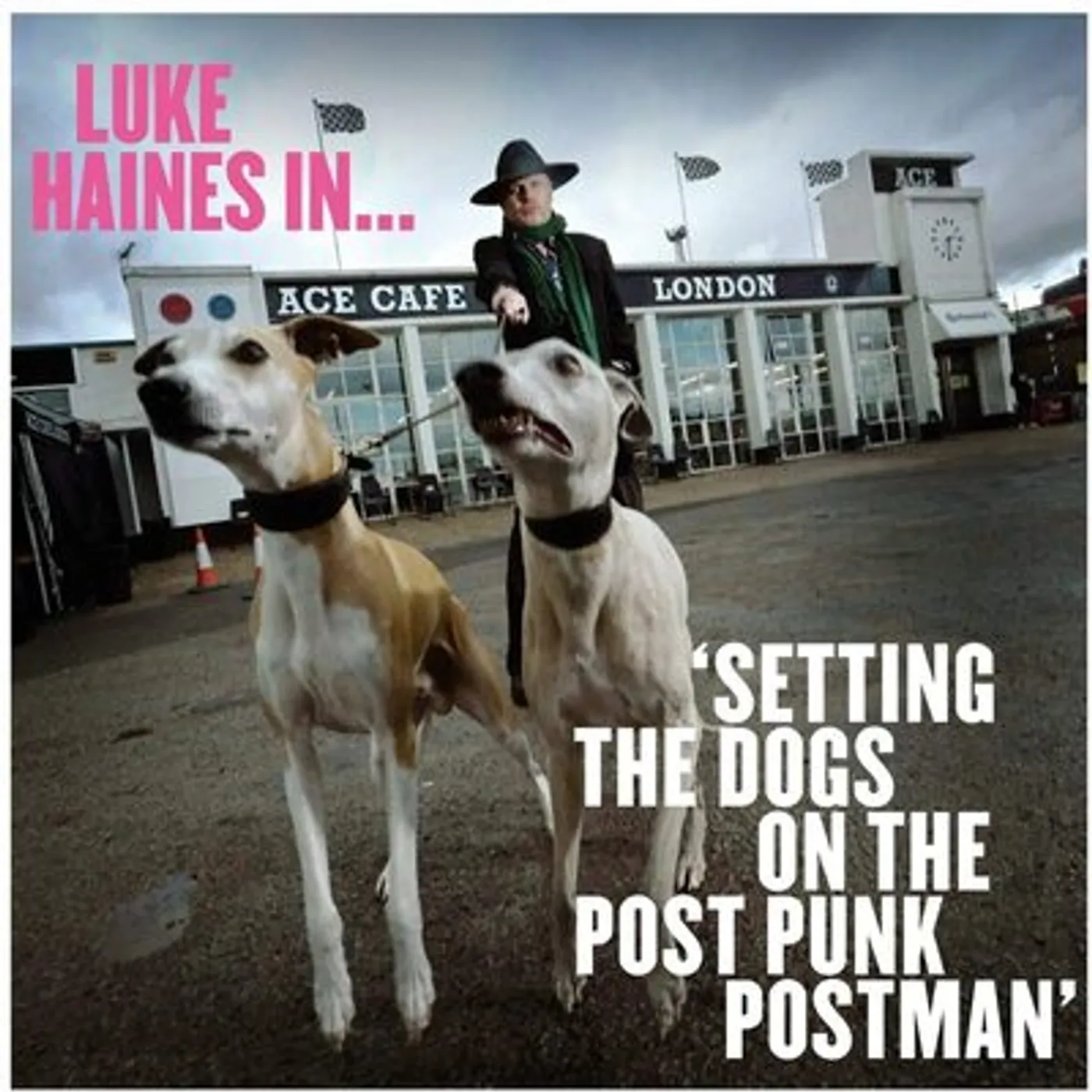 Luke Haines LP - Luke Haines In... Setting the Dogs On the Post-Punk Postman: (Vinyl)