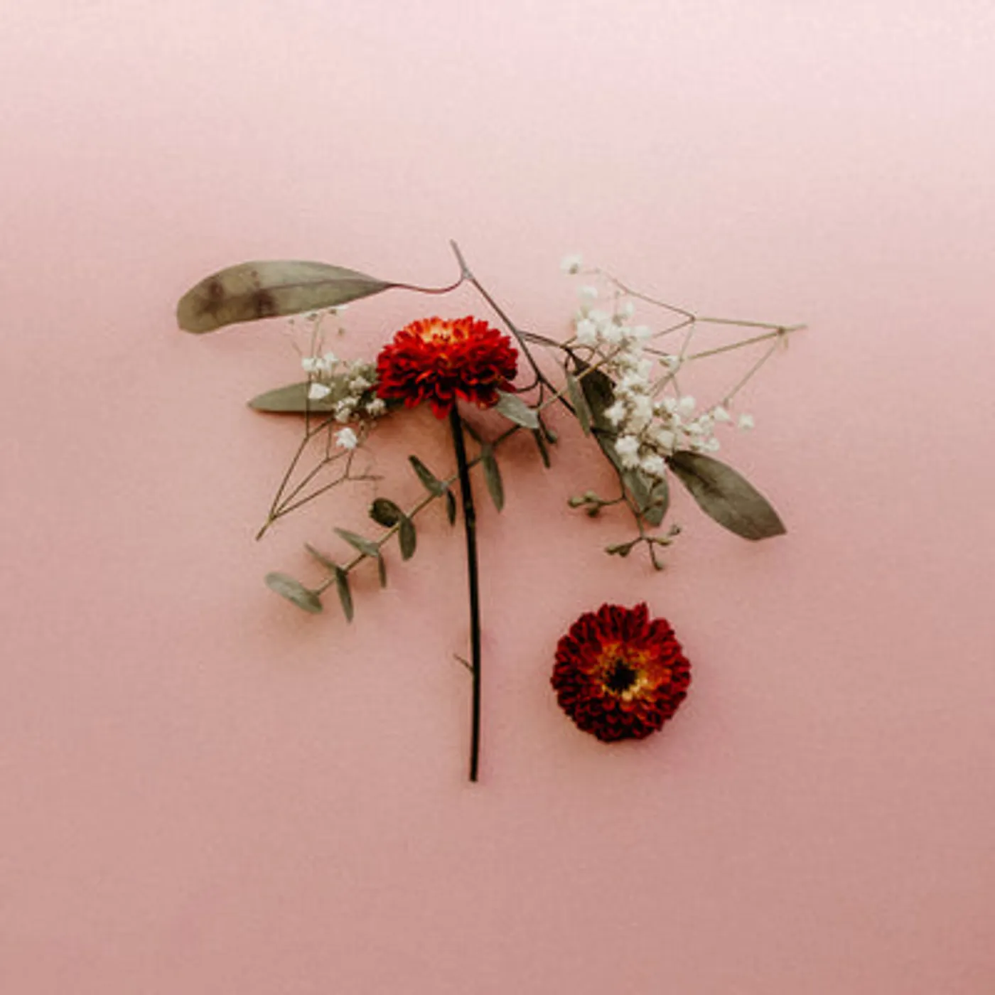 Sunsleeper LP - You Can Miss Something & Not Want It Back: (Vinyl)