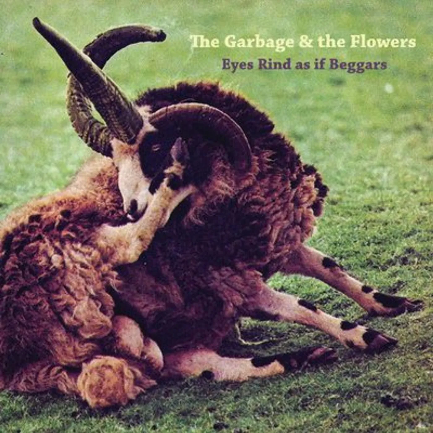 The Garbage & the Flowers LP - Eyes Rind As If Beggars (Vinyl)