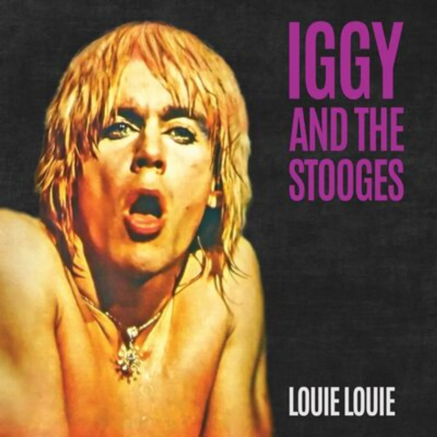 Iggy and the Stooges LP - Louie Louie (Vinyl)