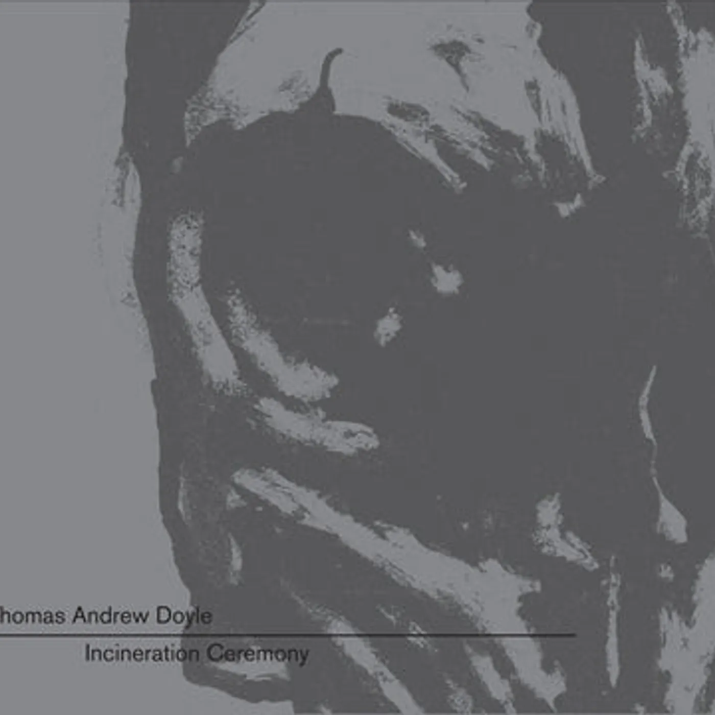 Thomas Andrew Doyle LP - Incineration Ceremony (Vinyl)