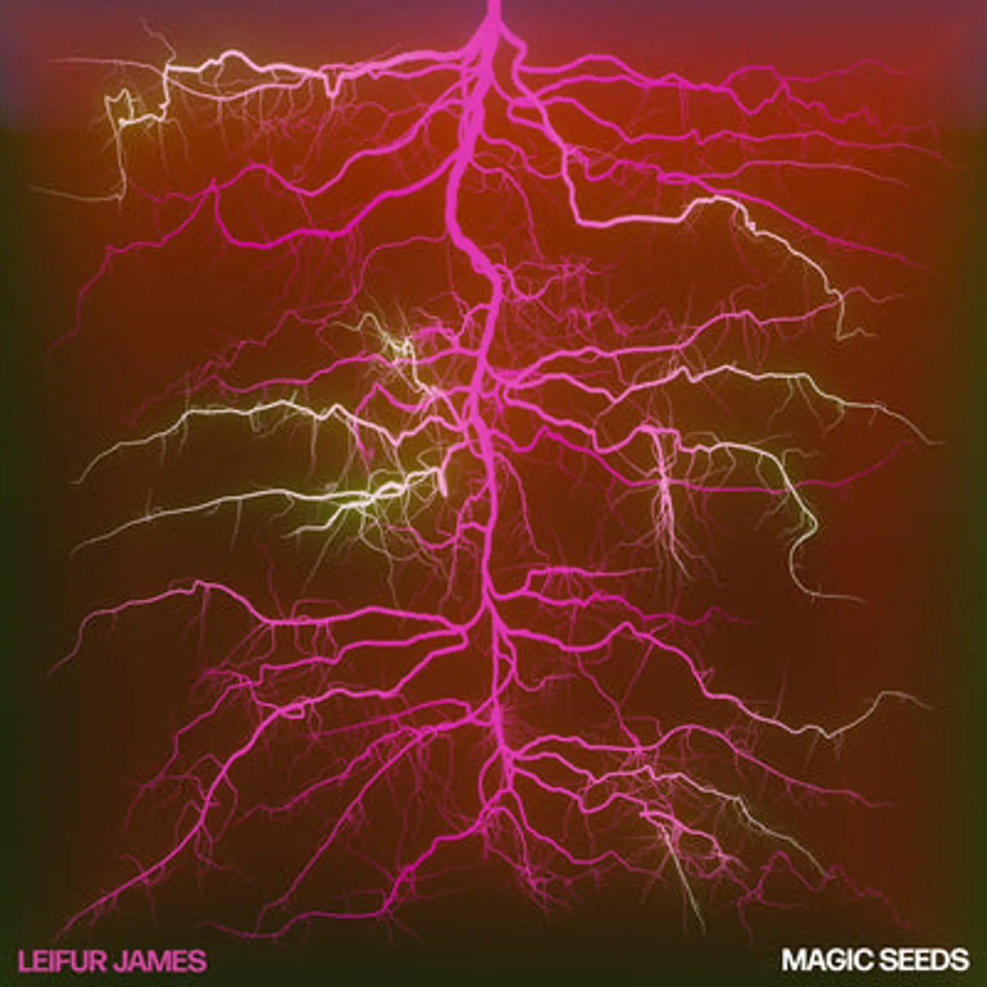Leifur James LP - Magic Seeds (Vinyl)