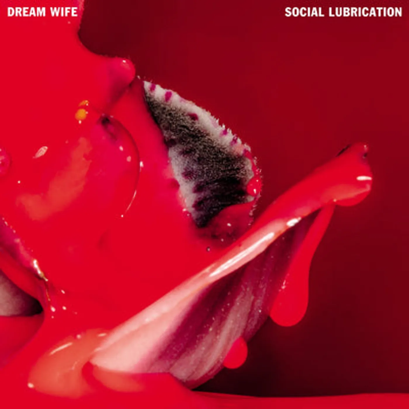 Dream Wife LP - Social Lubrication (Vinyl)