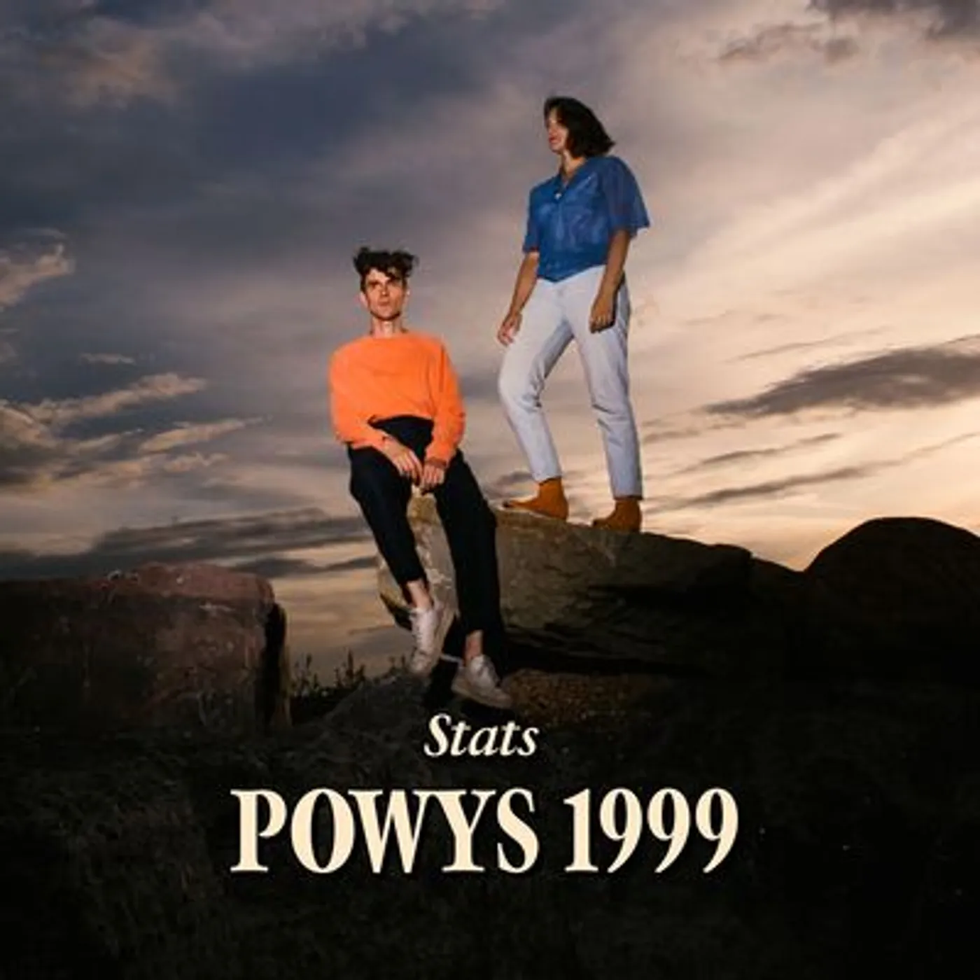 Stats LP - Powys 1999: (Vinyl)