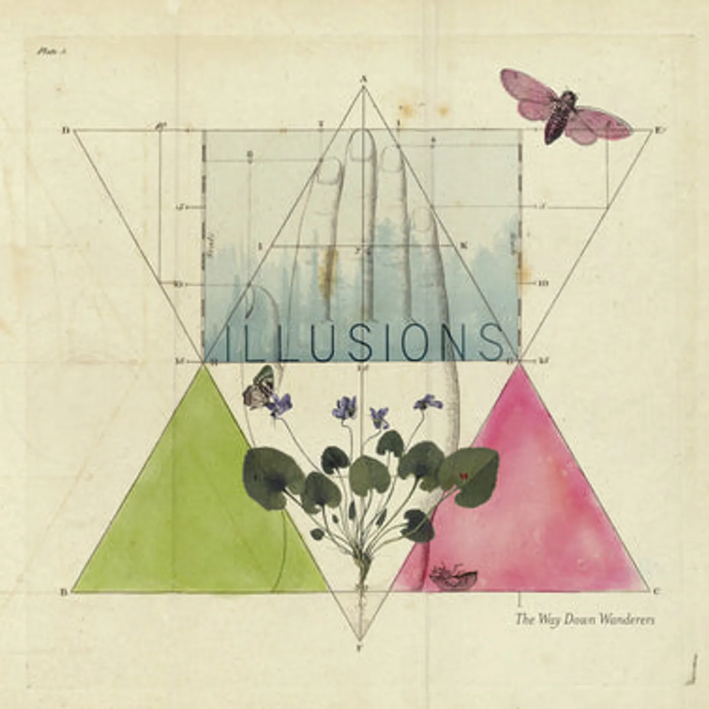 The Way Down Wanderers LP - Illusions: (Vinyl)