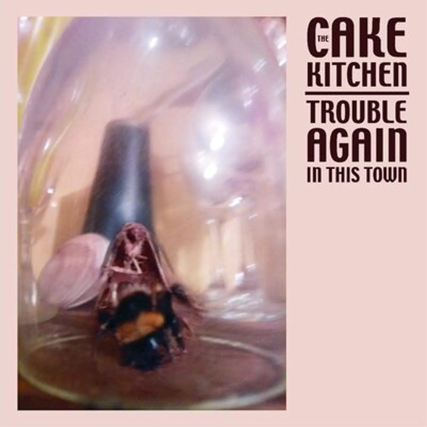 The Cakekitchen LP - Trouble Again in This Town: (Vinyl)