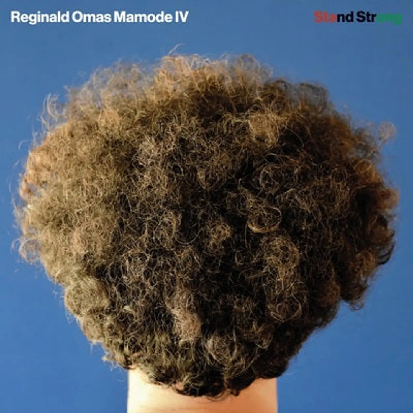 Reginald Omas Mamode IV LP - Stand Strong (Vinyl)