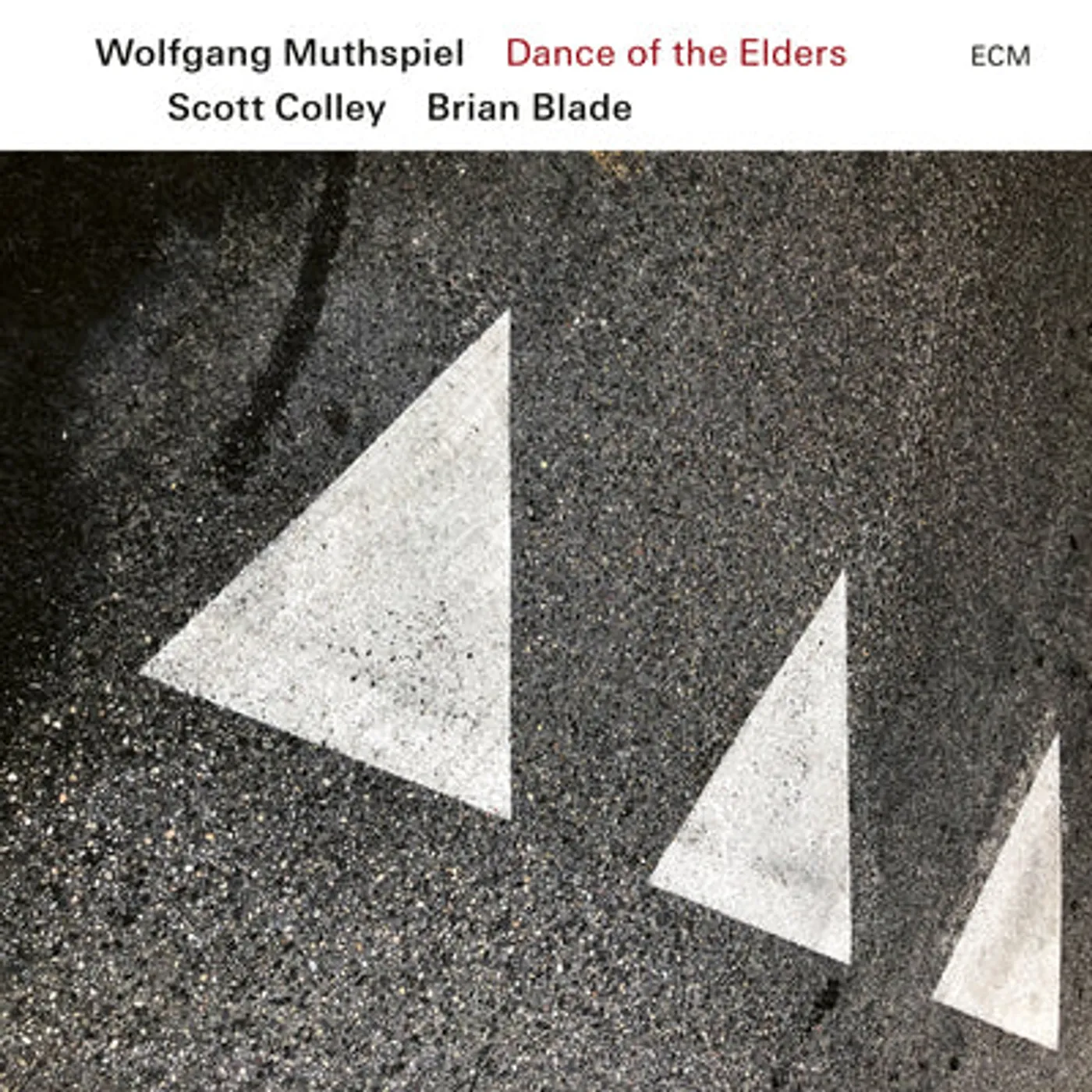 Wolfgang Muthspiel, Scott Colley & Brian Blade LP - Dance of the Elders (Vinyl)