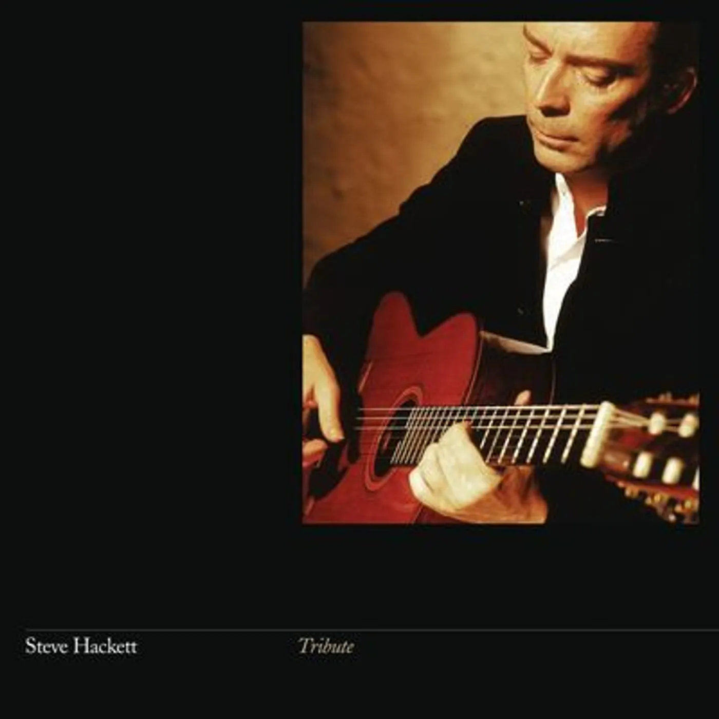 Steve Hackett LP - Steve Hackett: Tribute (Vinyl)