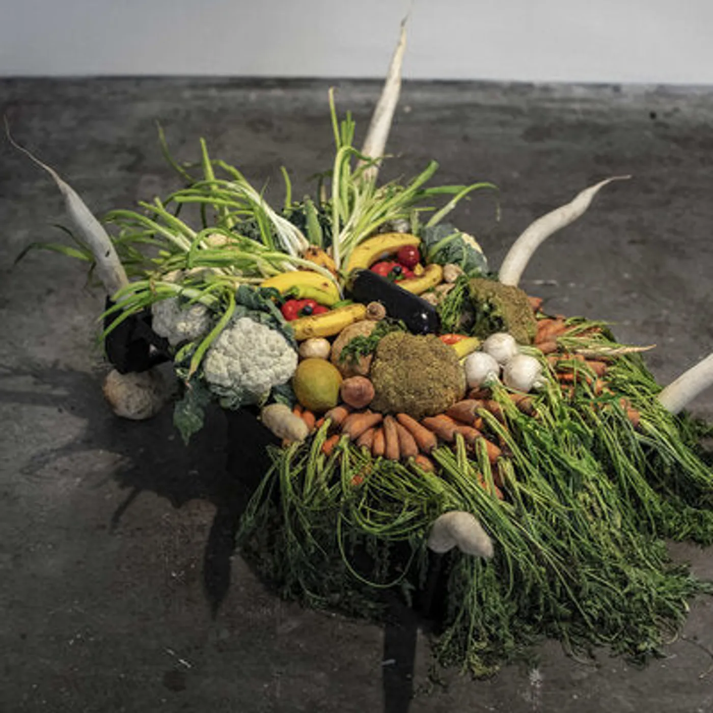 Jesse Osborne-Lanthier LP - Left My Brain @ Can Piaxano (La Xampanyeria) (Vinyl)