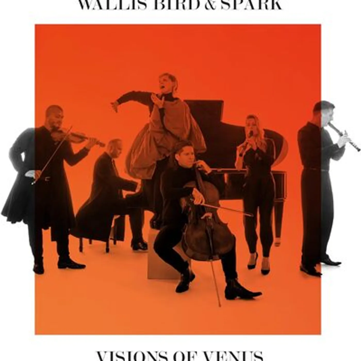 Wallis Bird LP - Wallis Bird & Spark: Visions of Venus (Vinyl)