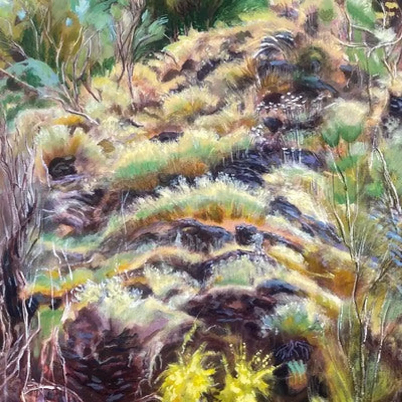 Swim Surreal LP - In the Half Light (Vinyl)